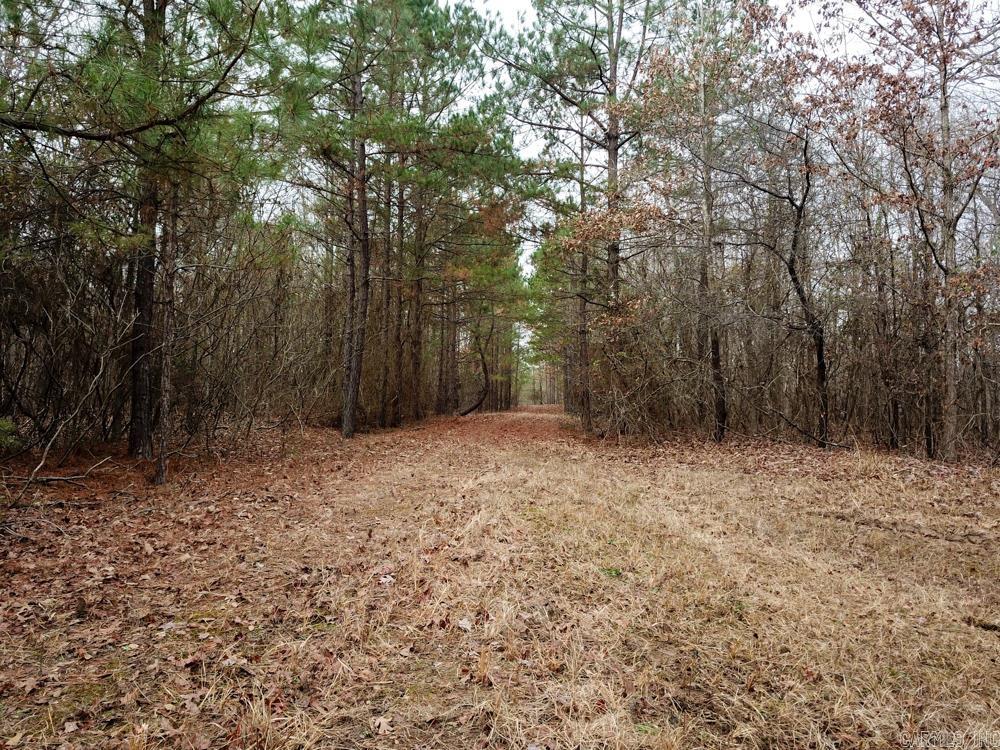 000 Sulphur Springs Rd.