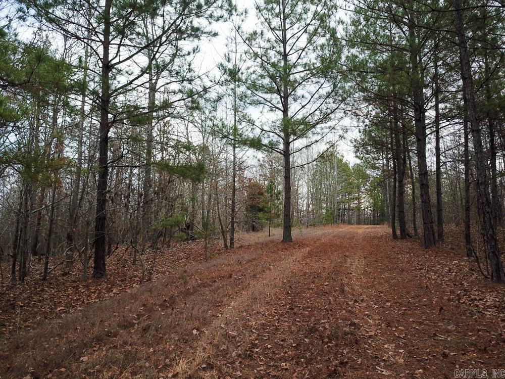 000 Sulphur Springs Rd.