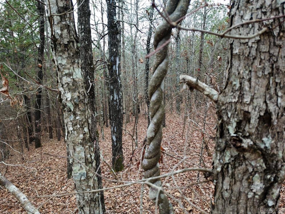 000 Sulphur Springs Rd.