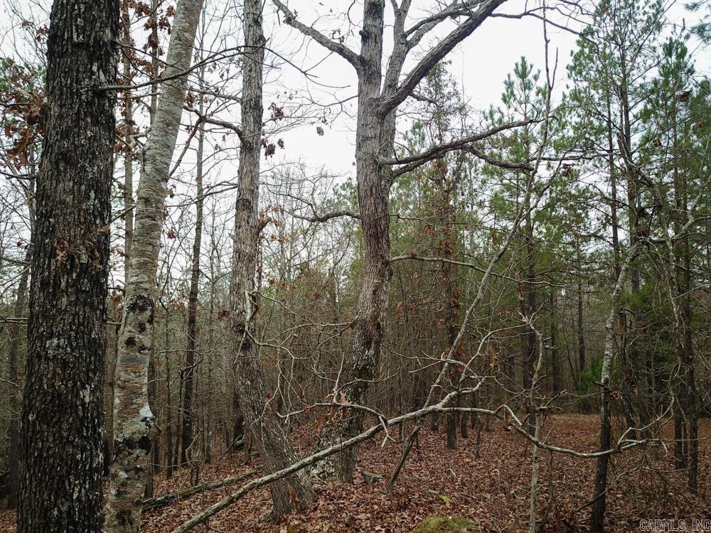 000 Sulphur Springs Rd.