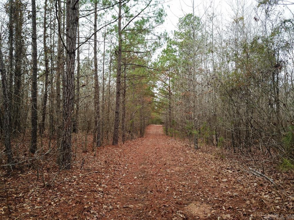 000 Sulphur Springs Rd.