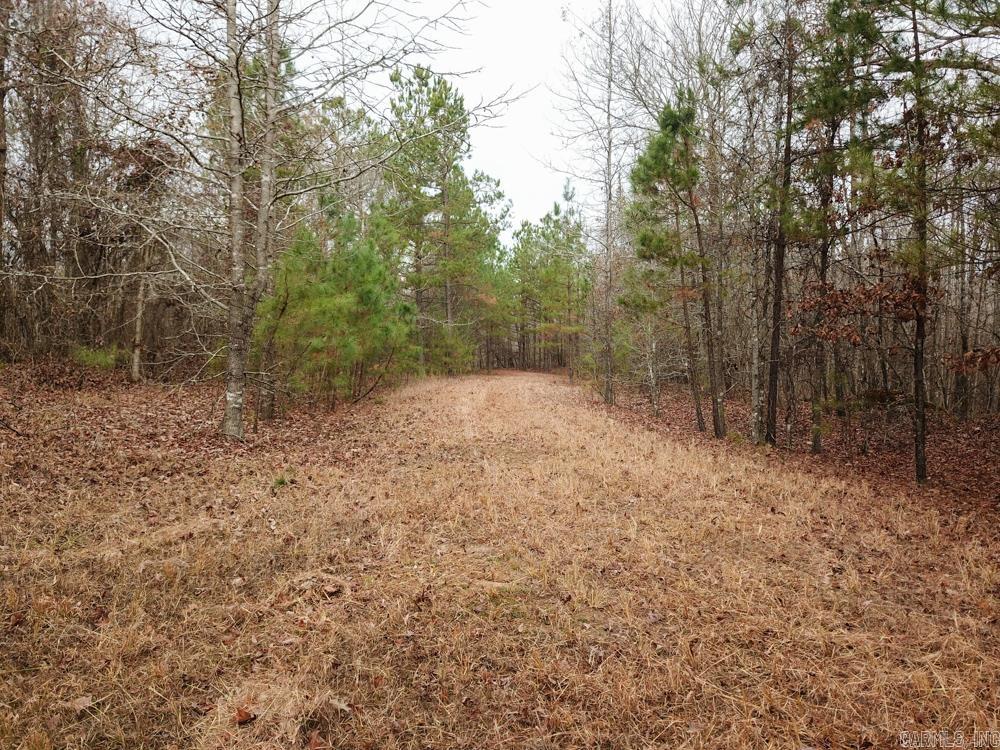 000 Sulphur Springs Rd.