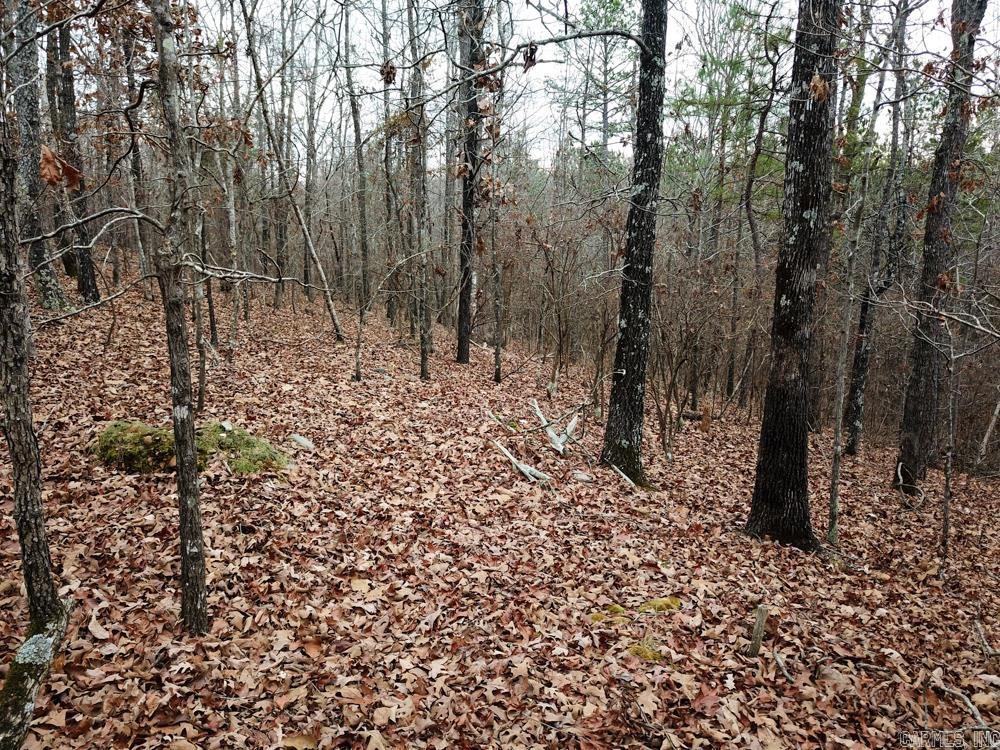 000 Sulphur Springs Rd.