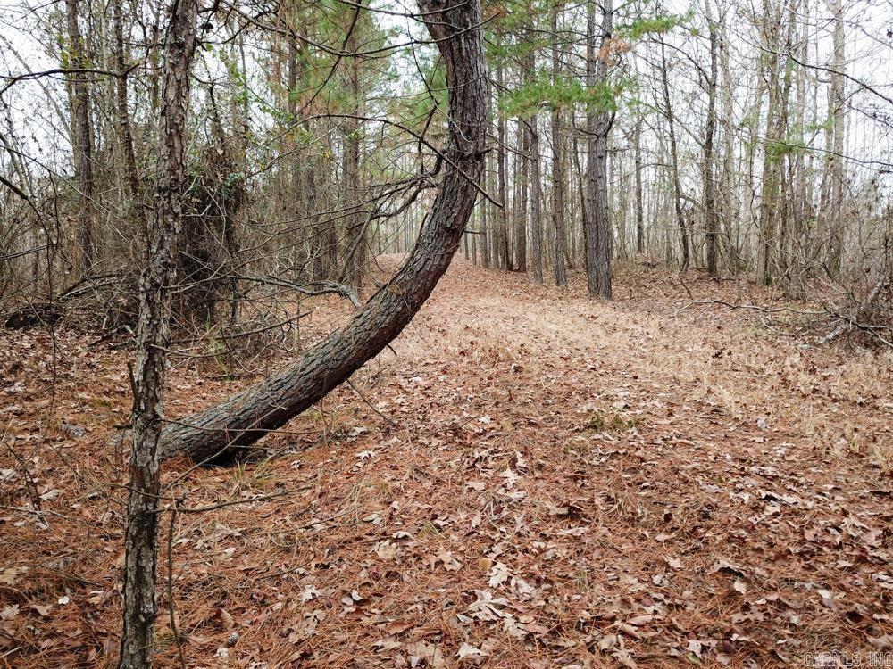 000 Sulphur Springs Rd.