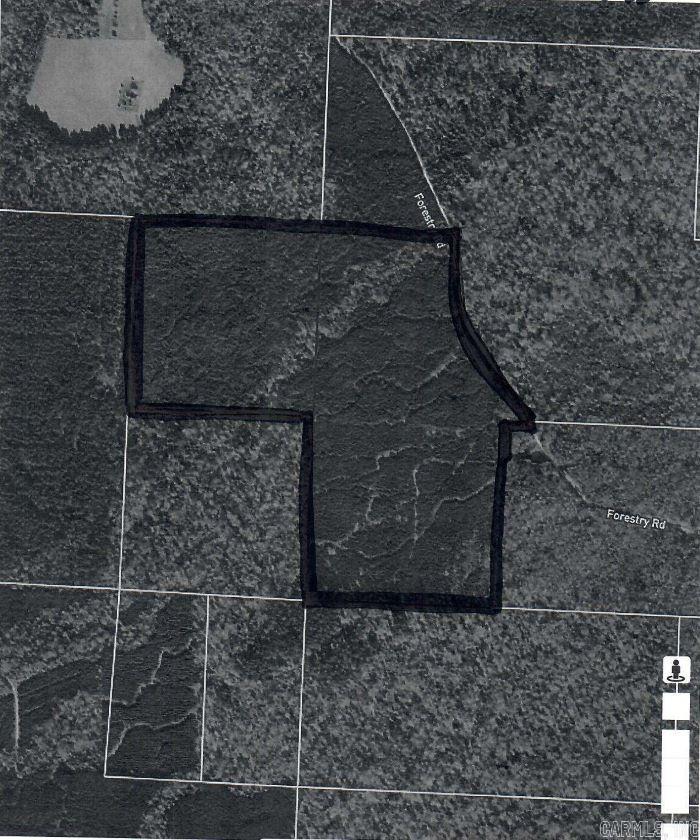 000 Forestry Road