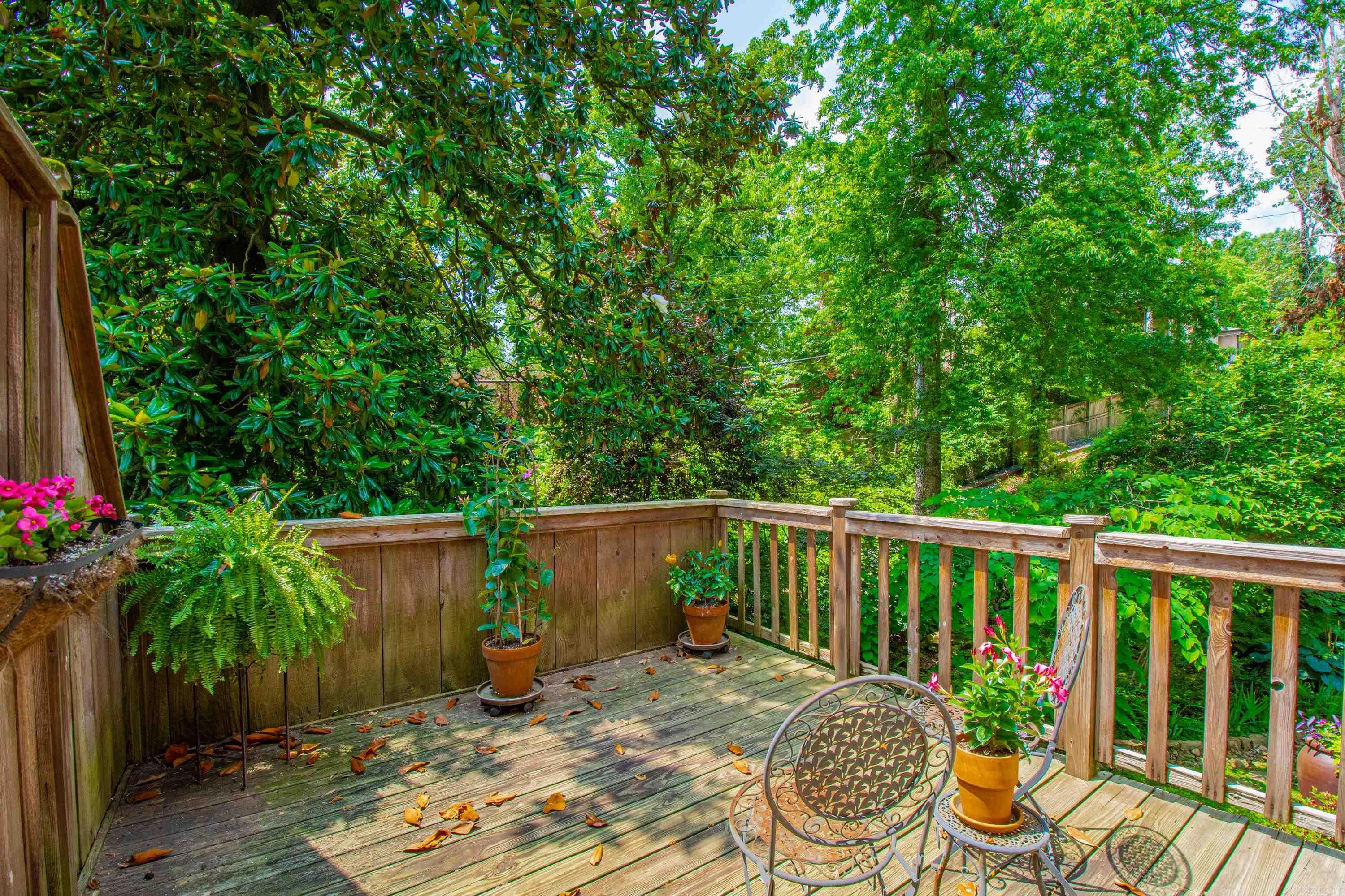 23 Shannon Drive