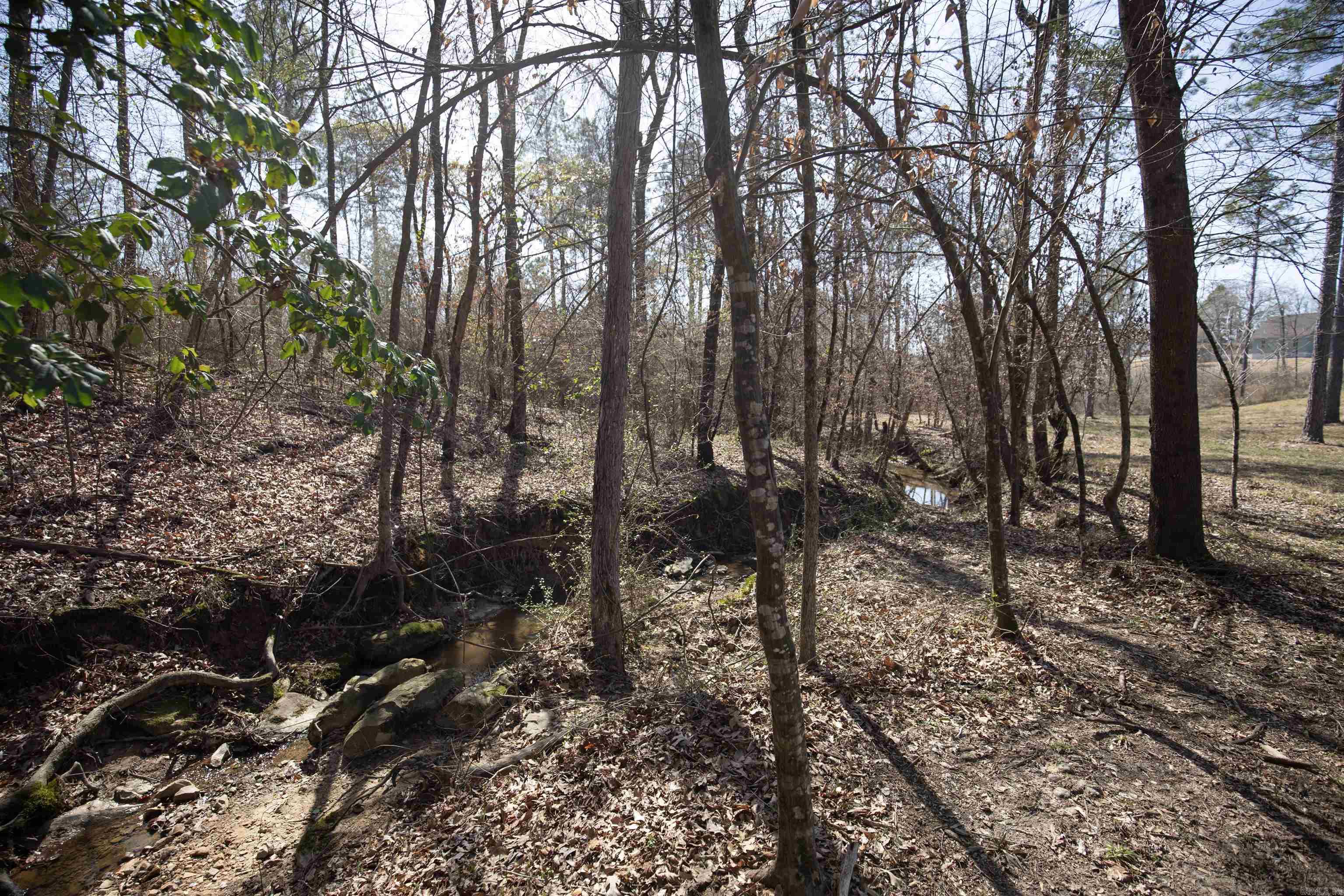 152 Anderson Loop