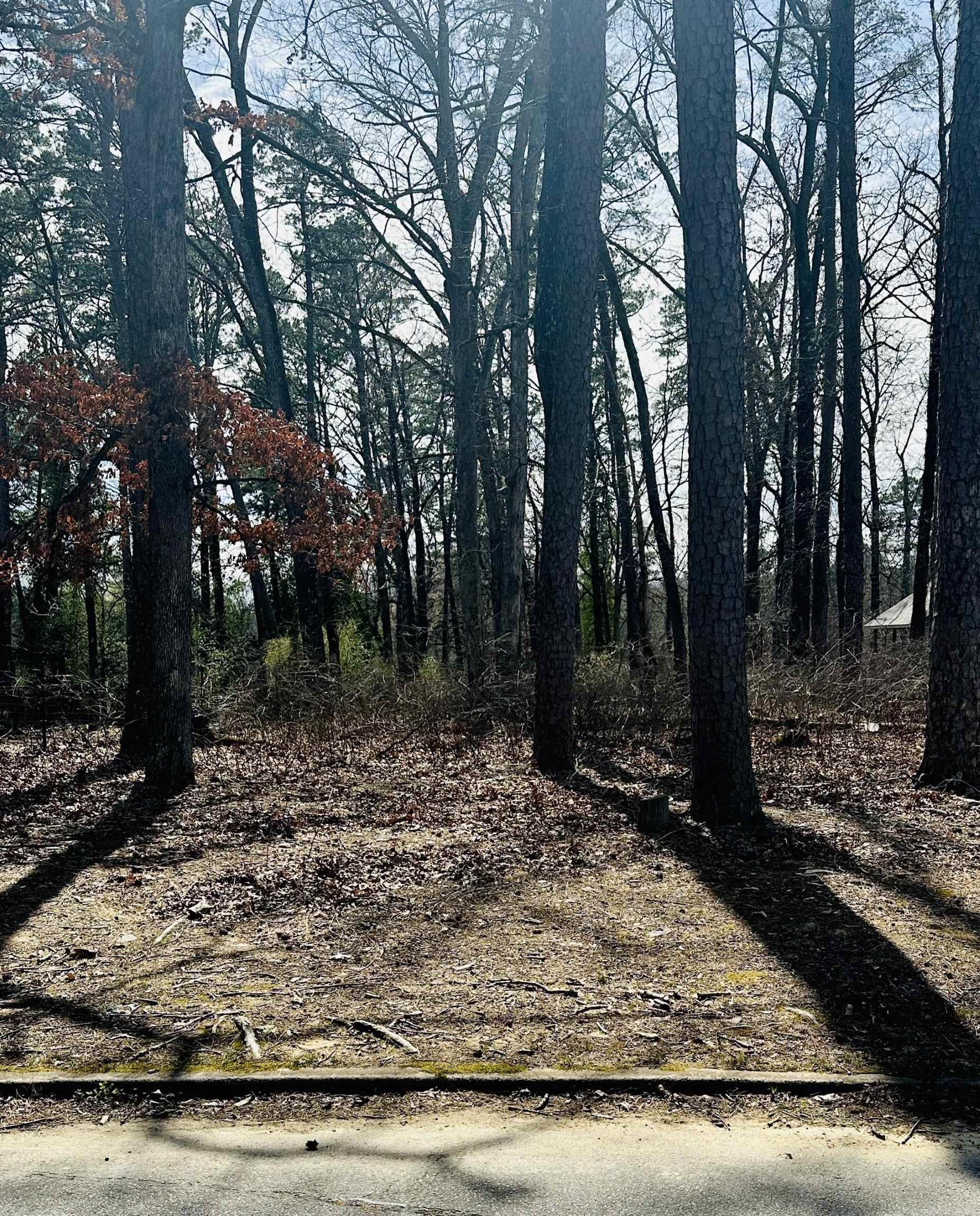 7607 Ascension Road
