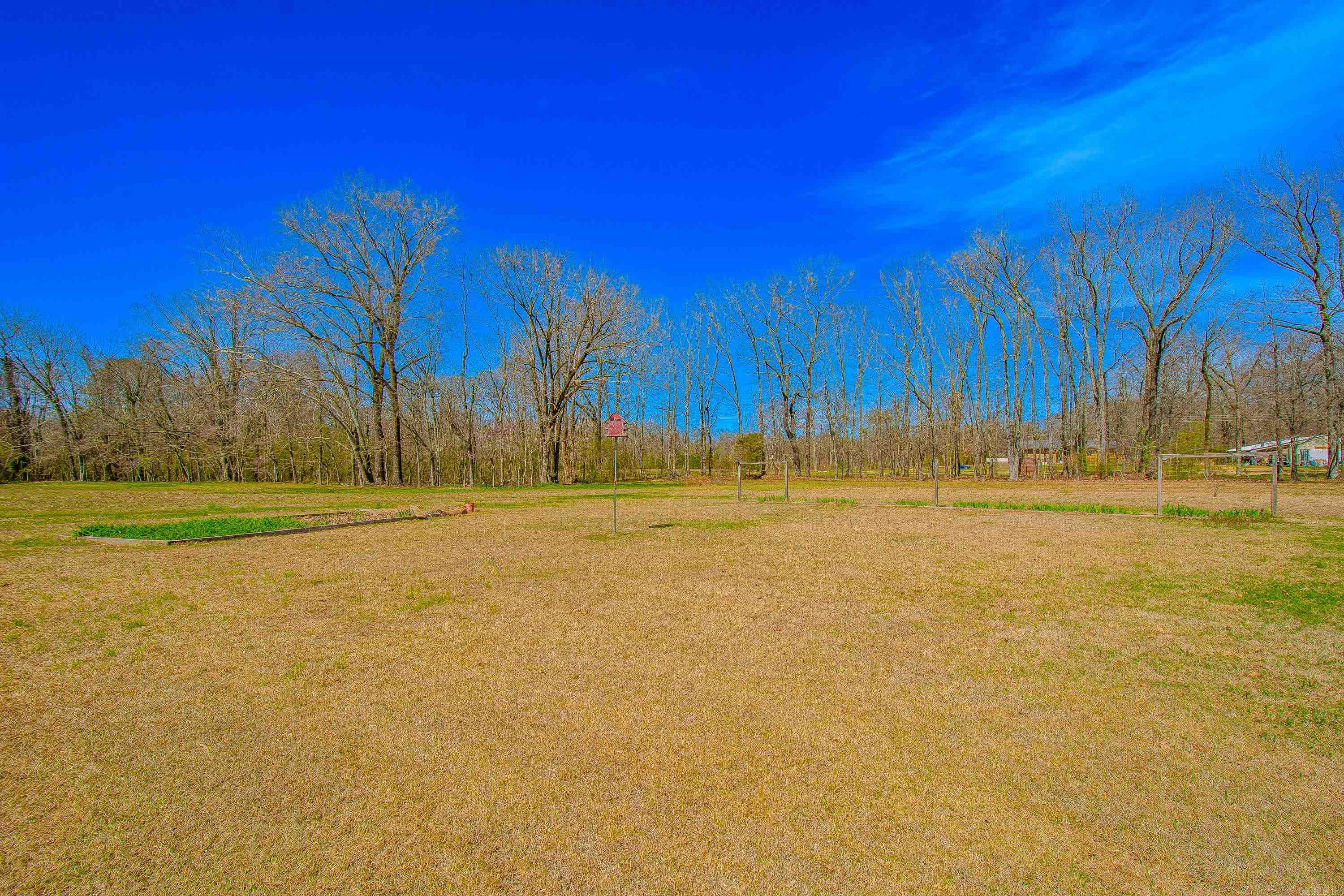 3006 David O Young Road