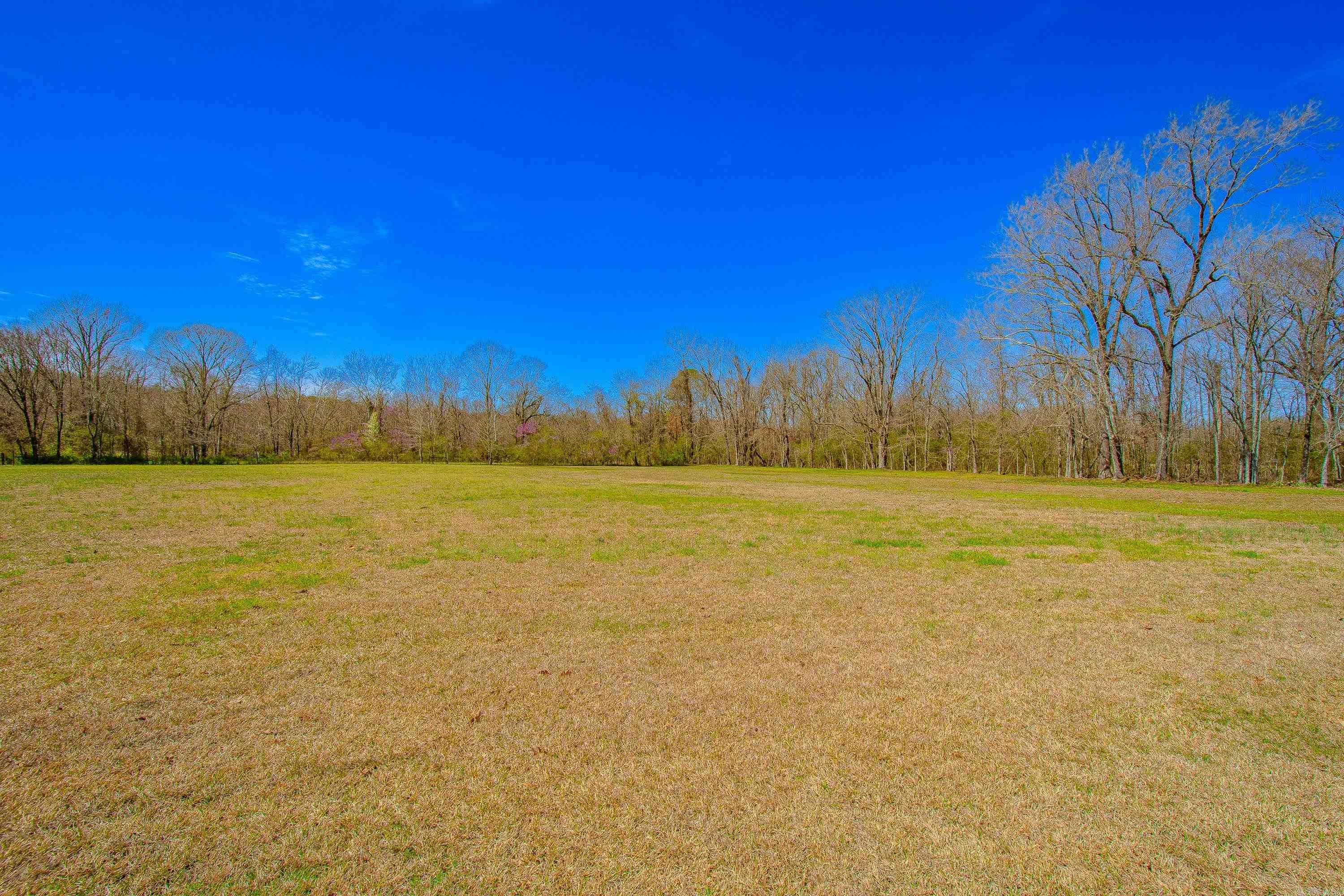 3006 David O Young Road