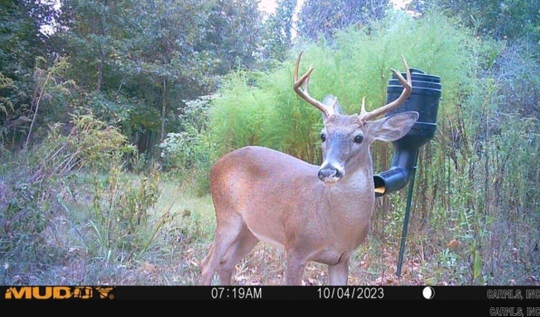 589 HOPPER RIDGE RD