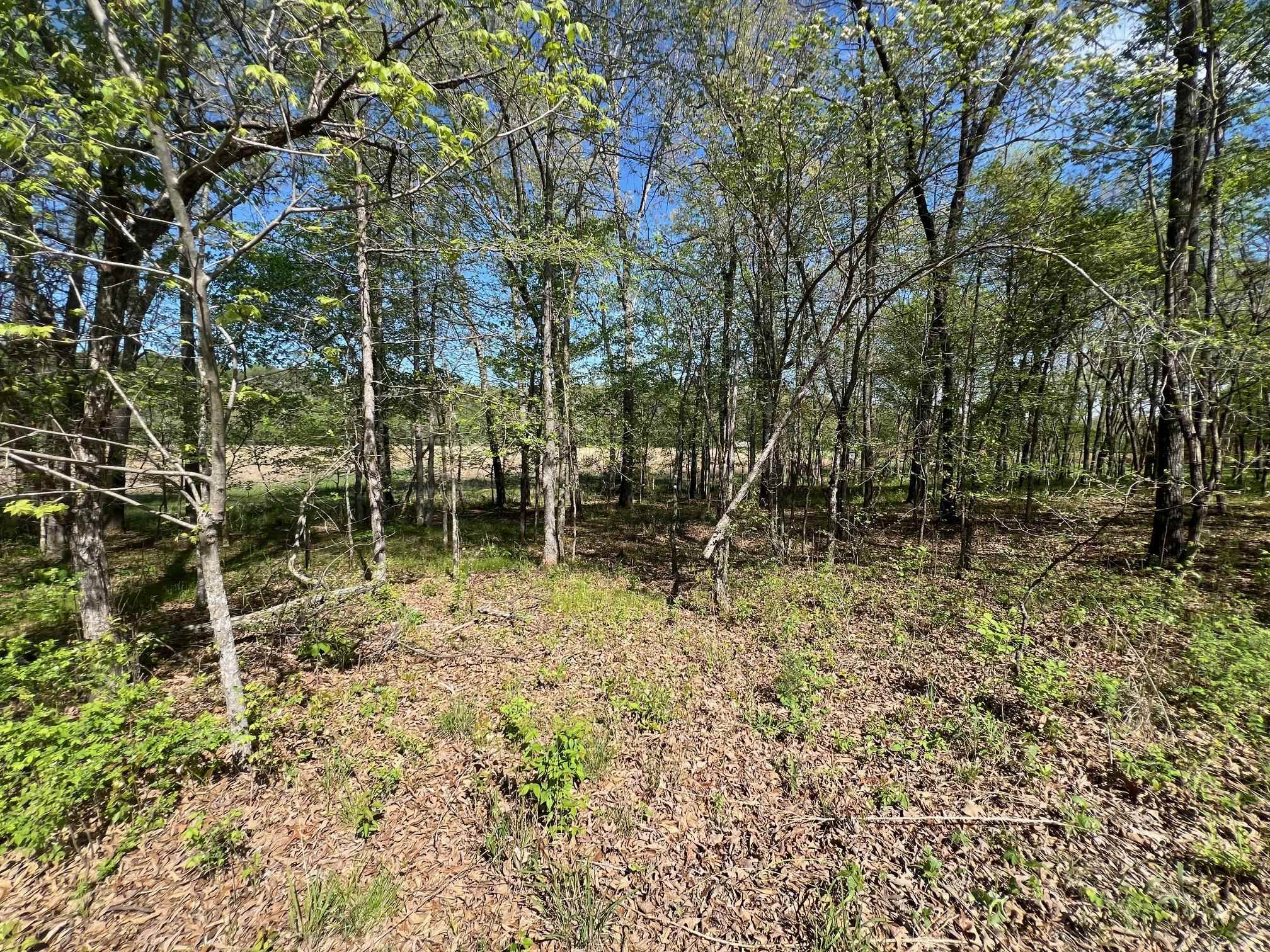 Tract 9 Kia Kima Trail