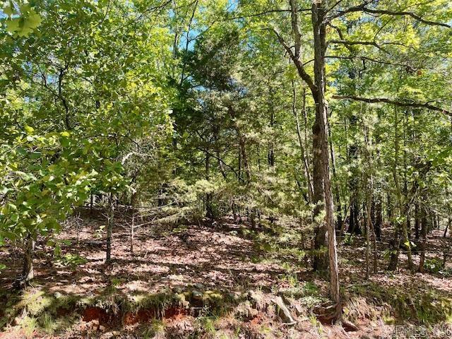Lot 4 Sunset Trail