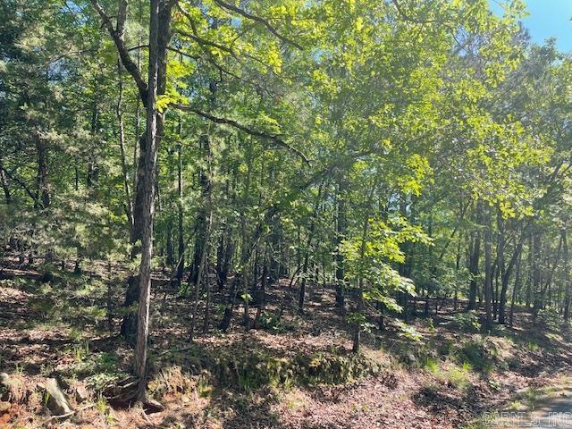 Lot 4 Sunset Trail