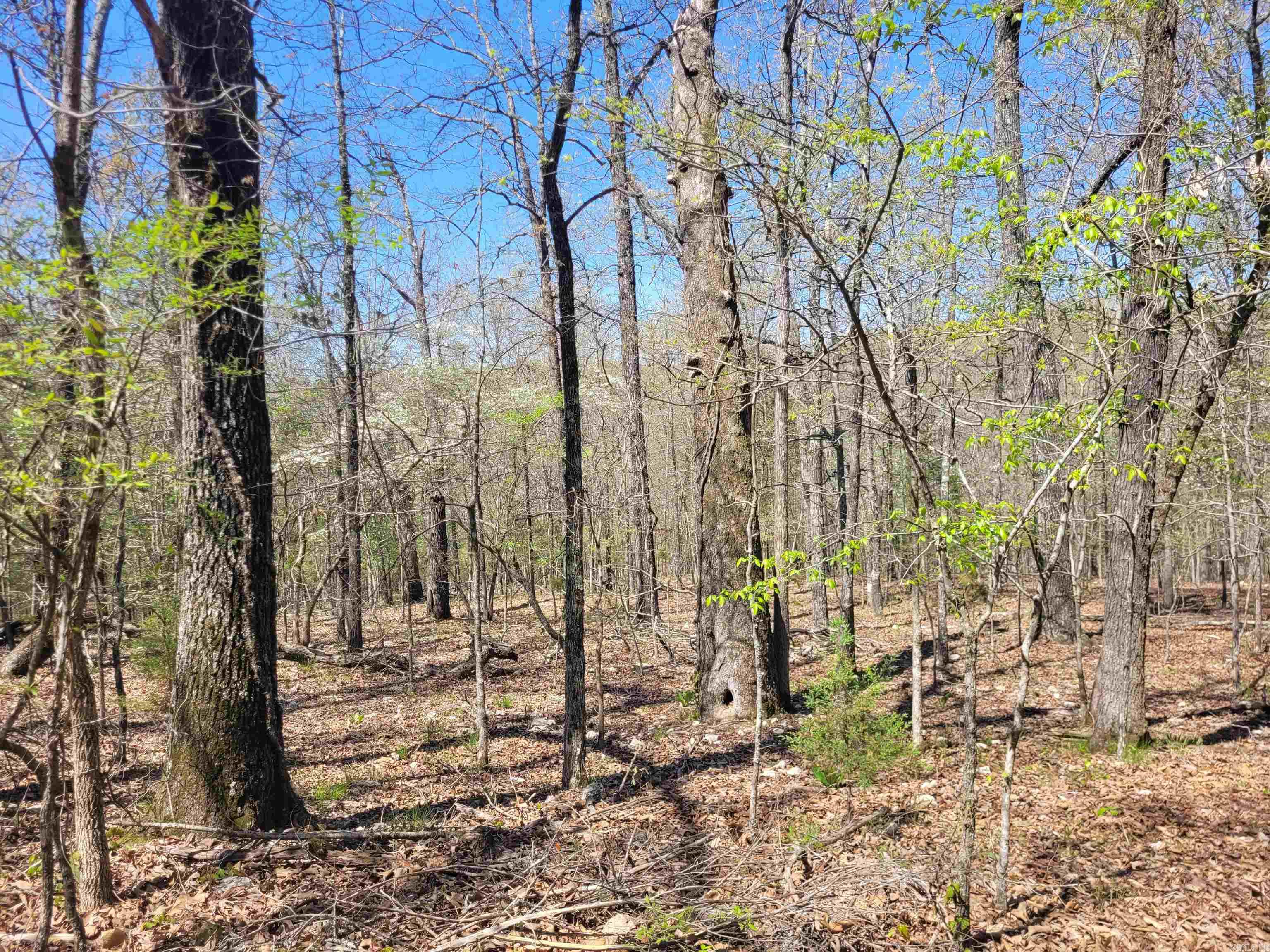 40 acres Hill Creek Trail