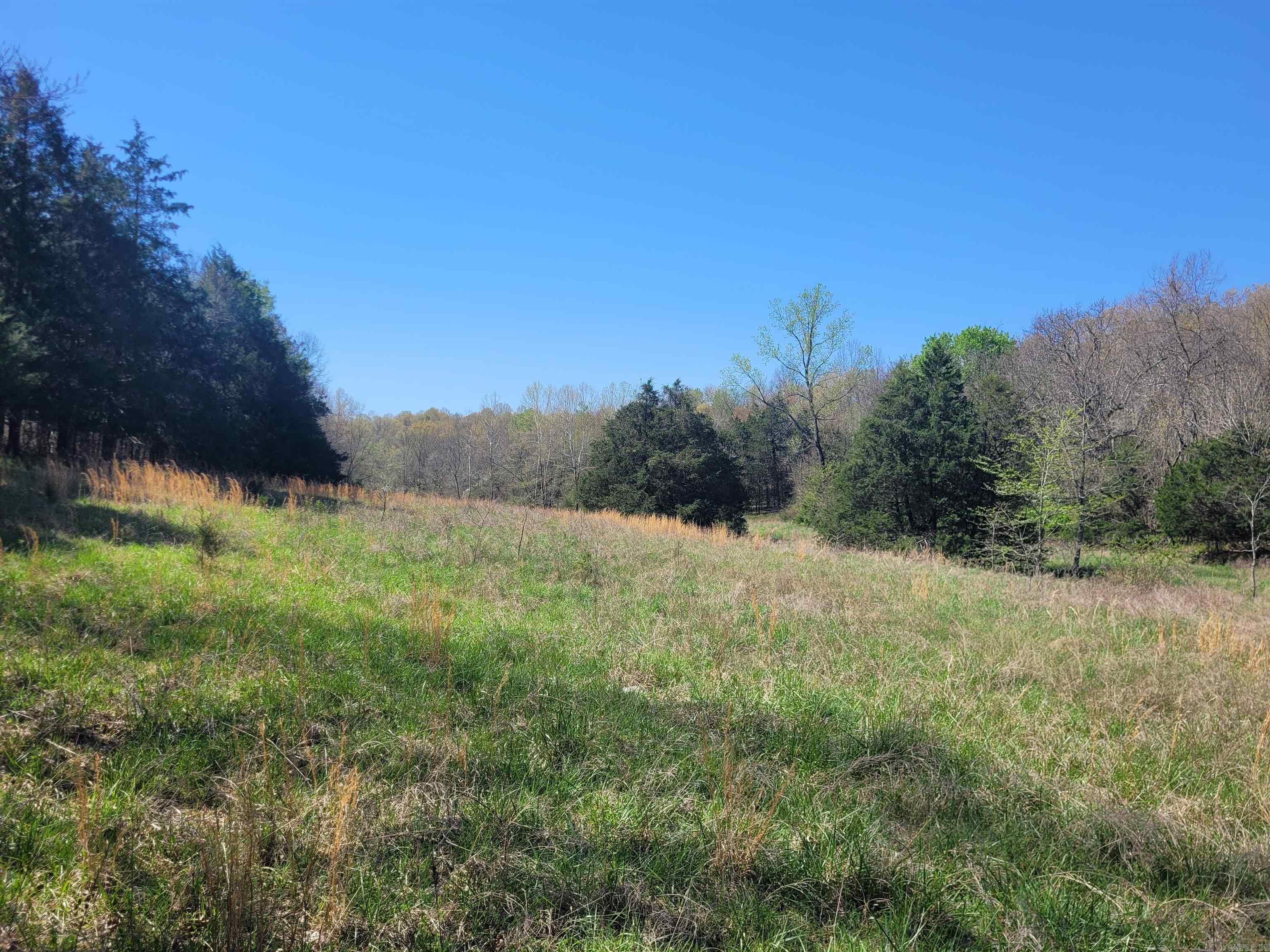 40 acres Hill Creek Trail