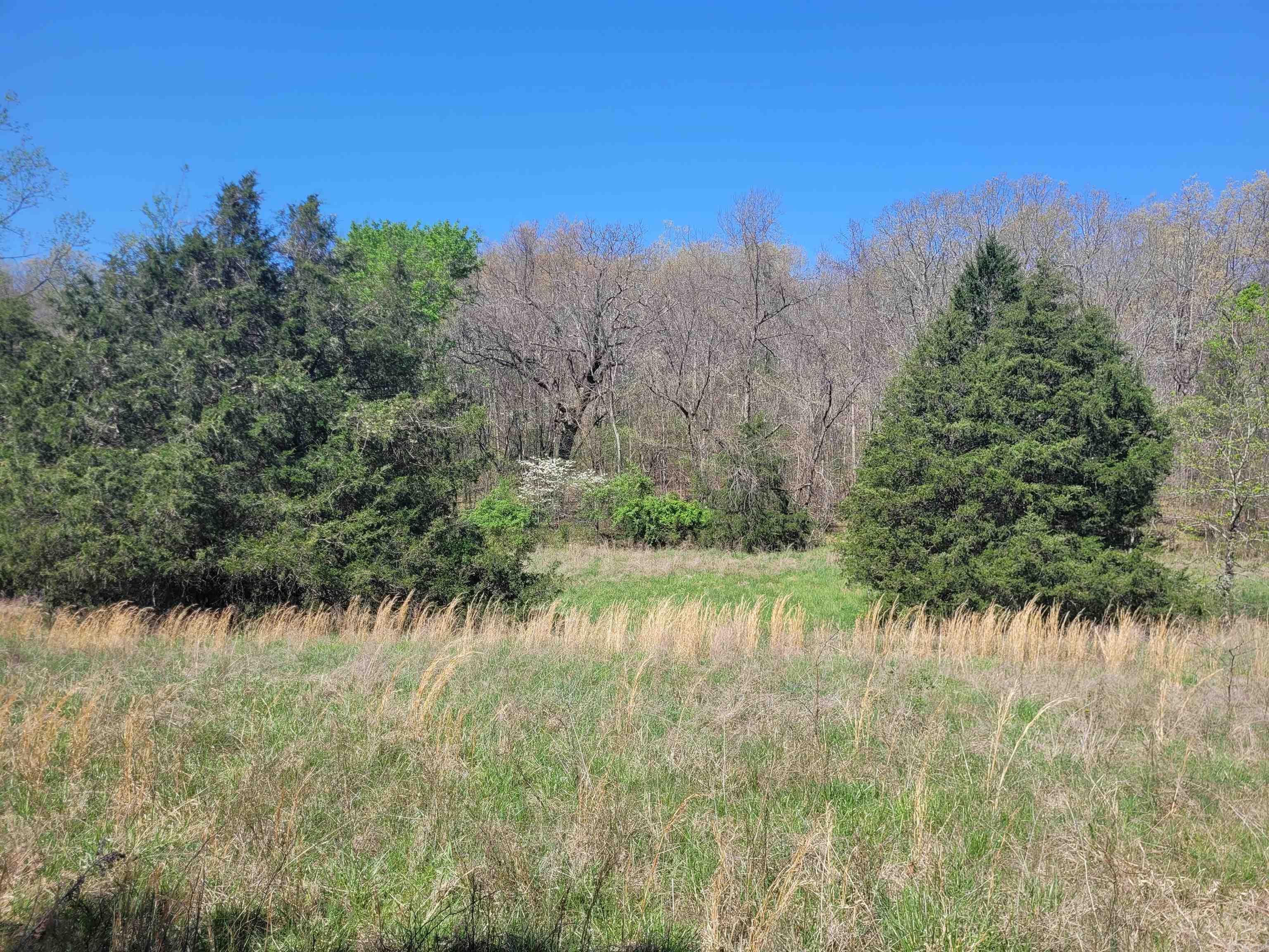 40 acres Hill Creek Trail