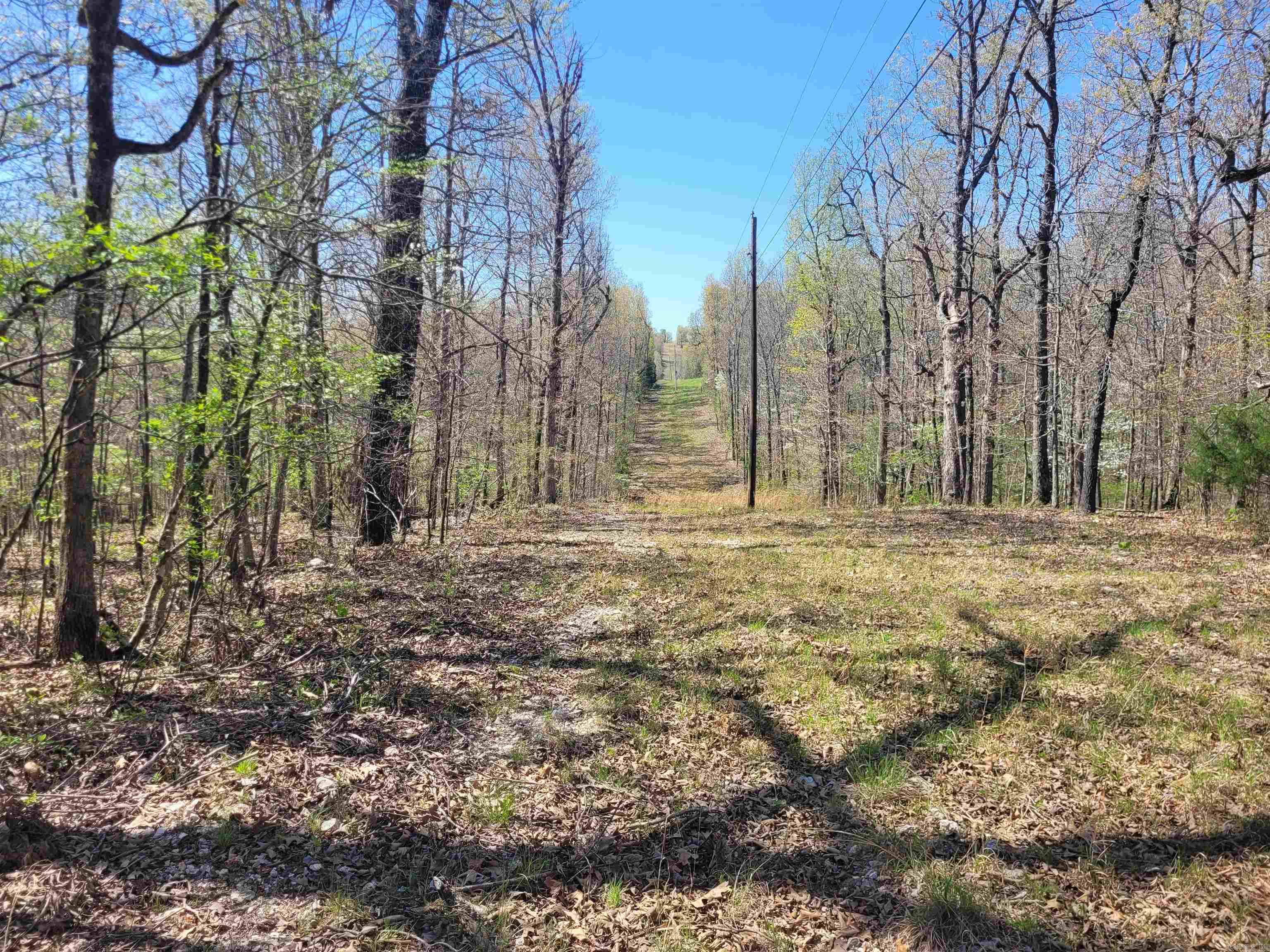 40 acres Hill Creek Trail