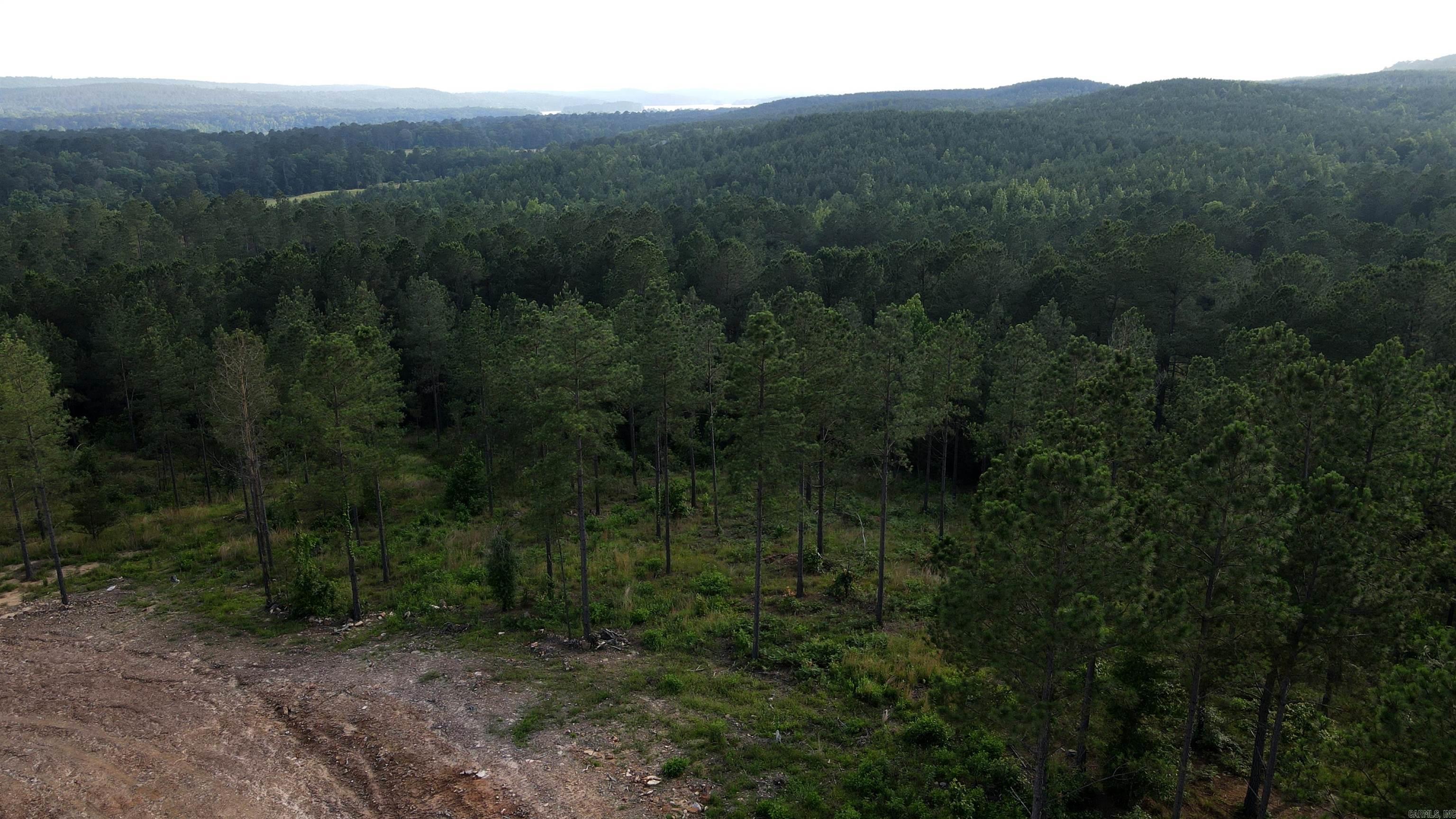 TBD The Plantation Road Unit: Lot 53