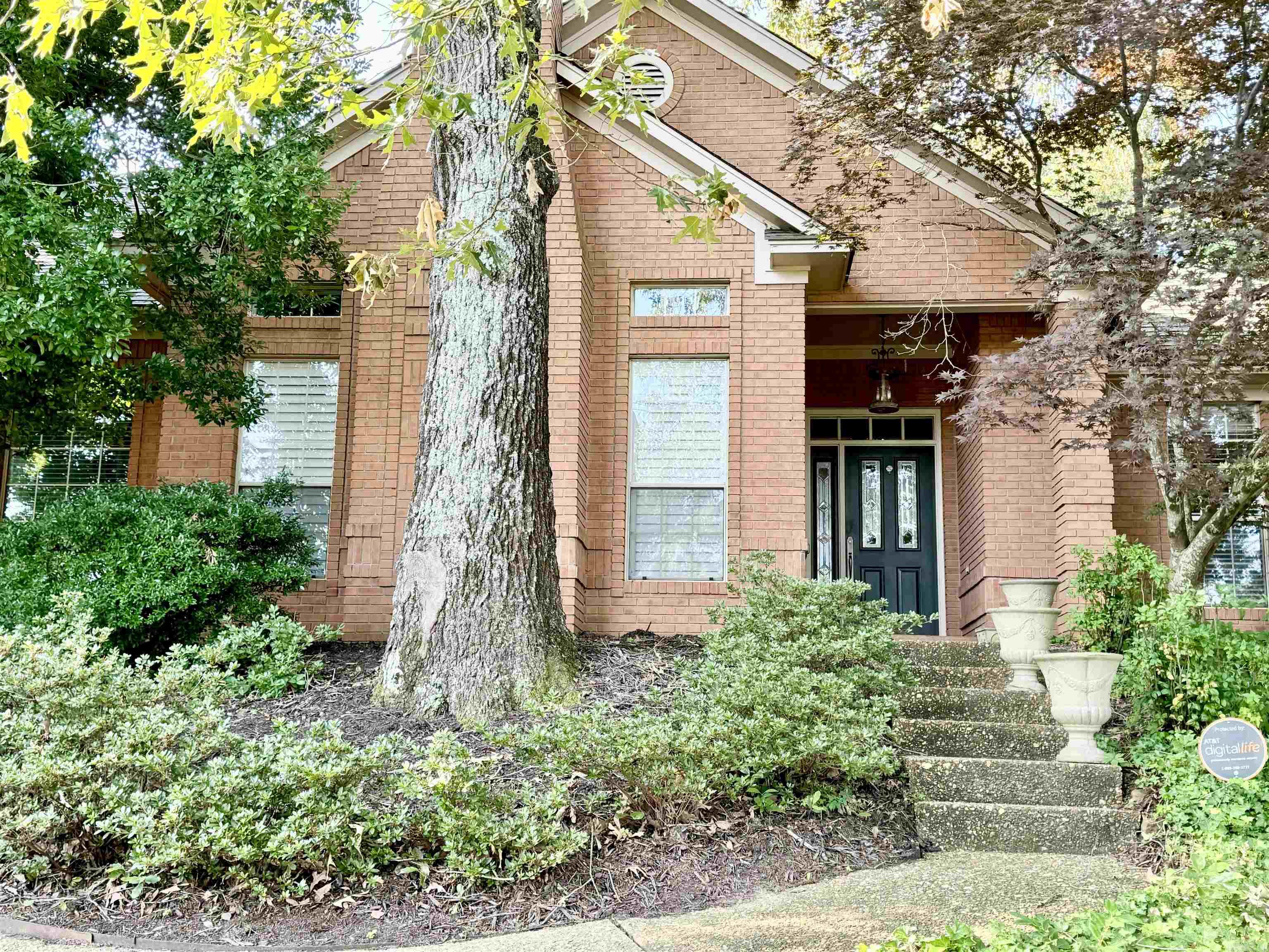 3155 Tyler Street