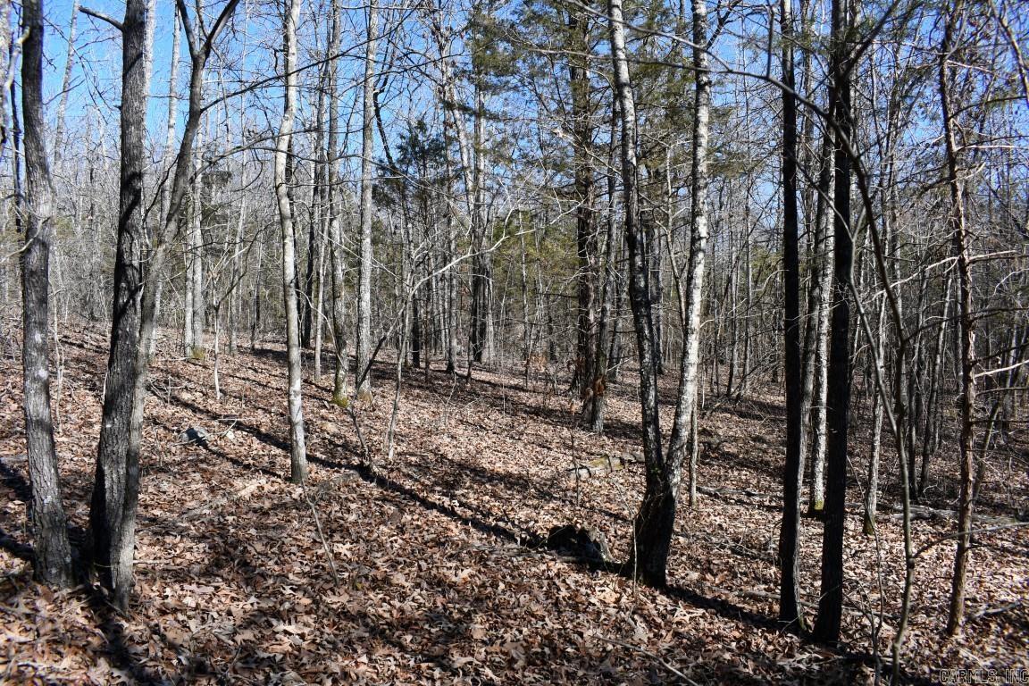 34 Winding Branch Lane