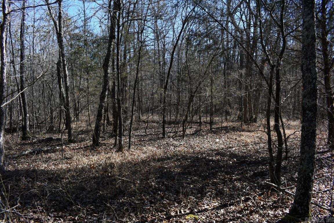 34 Winding Branch Lane