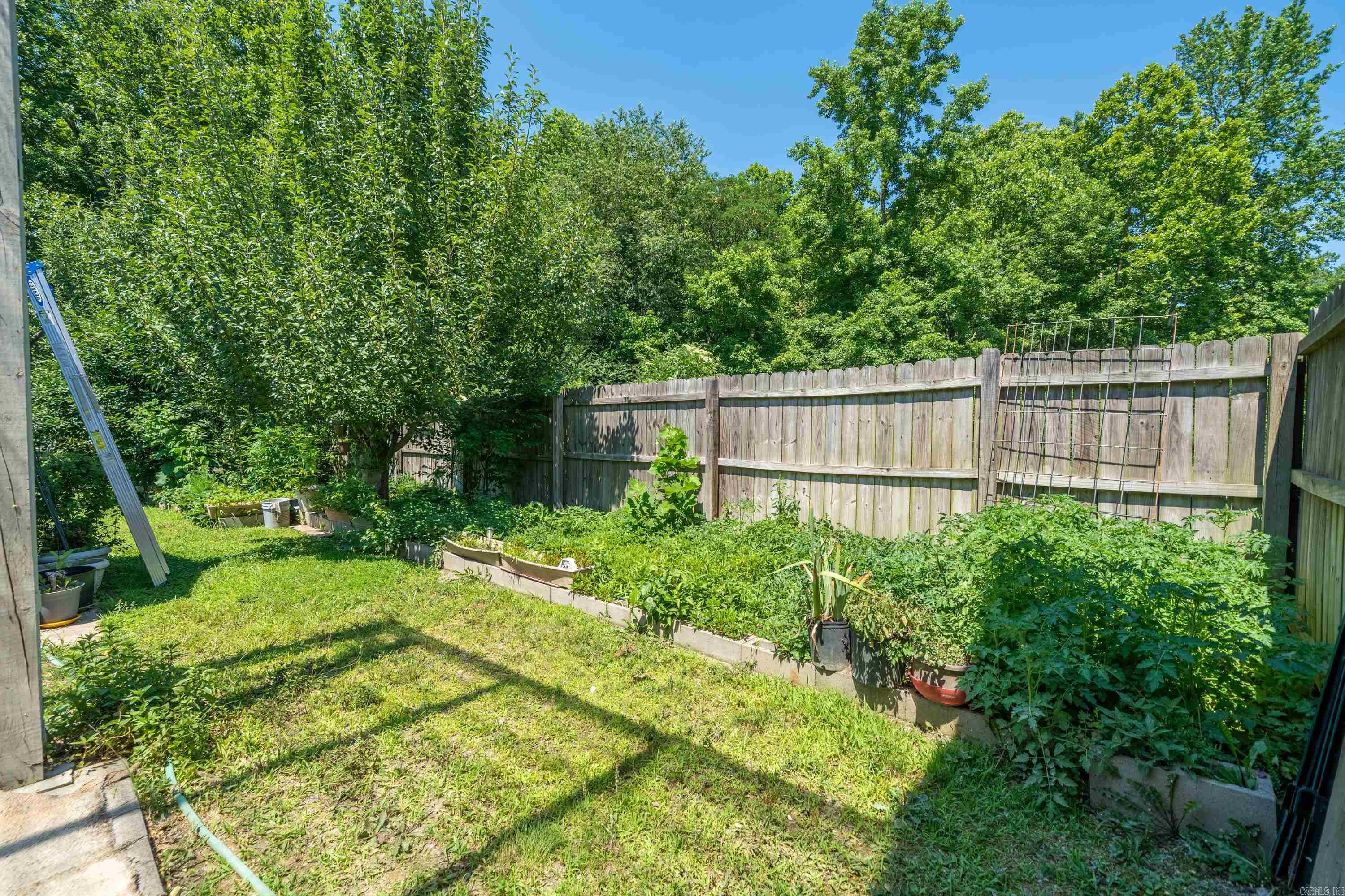 173 Alydar Trail