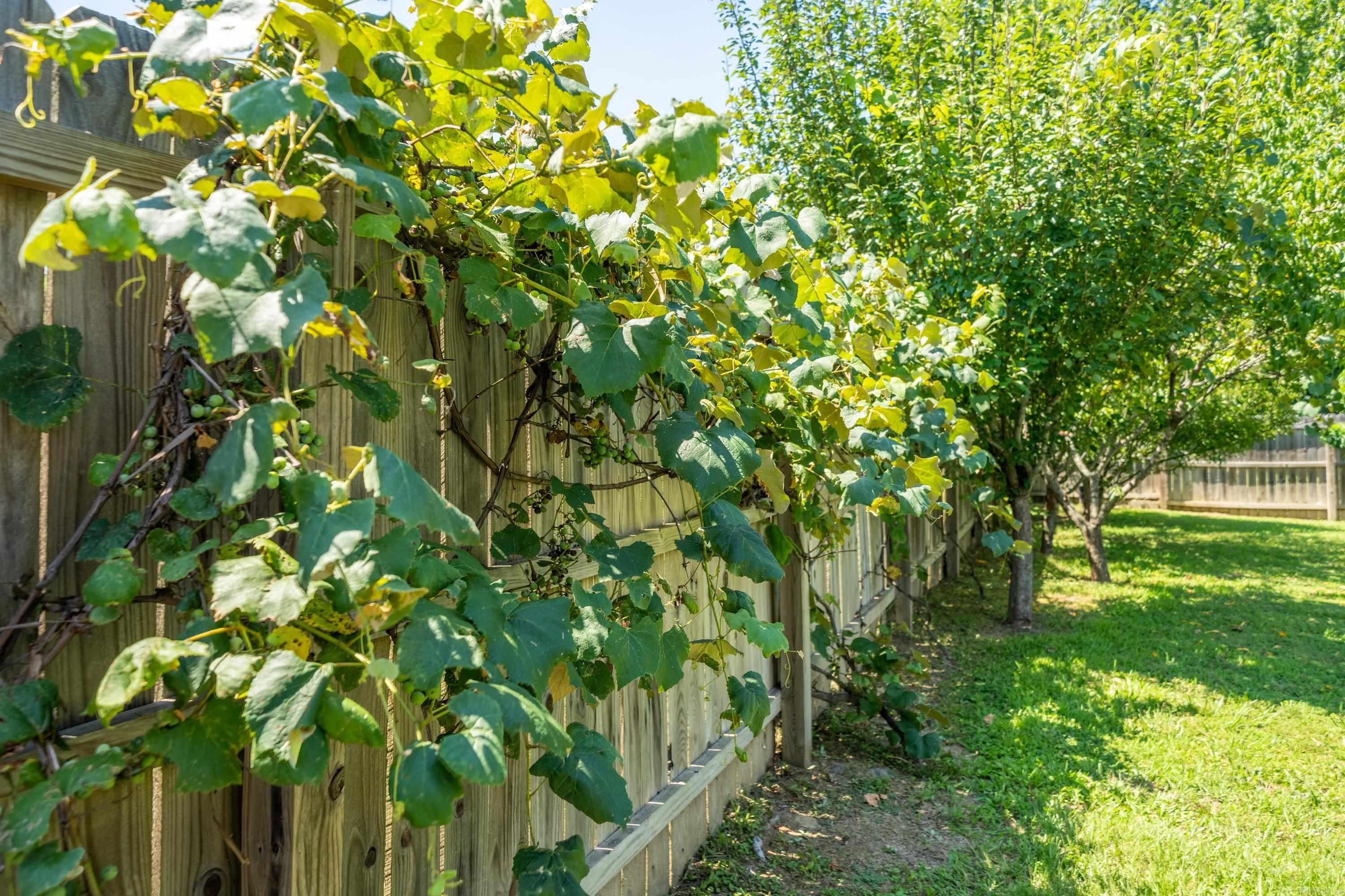 173 Alydar Trail