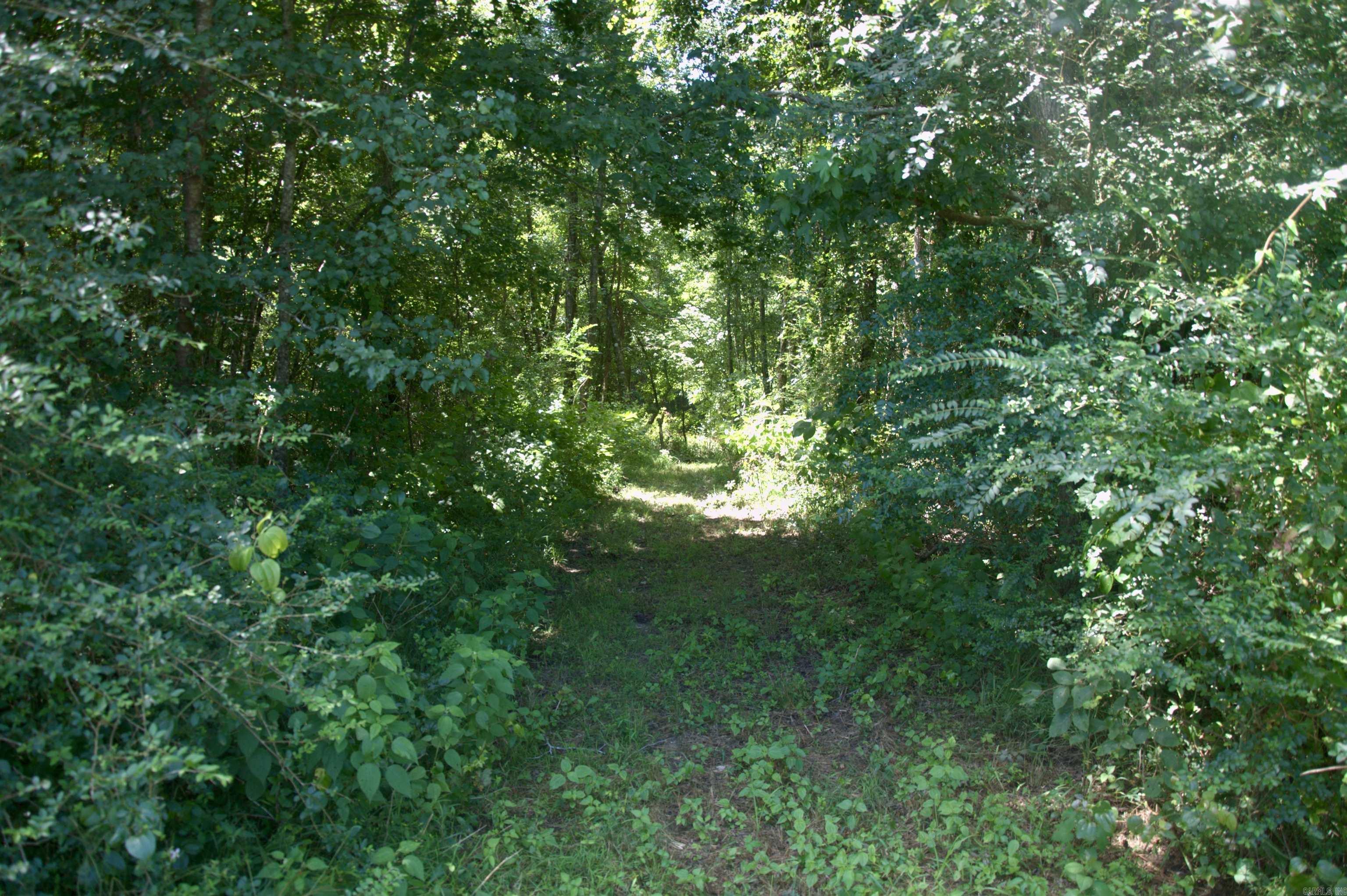6300 US Highway 278