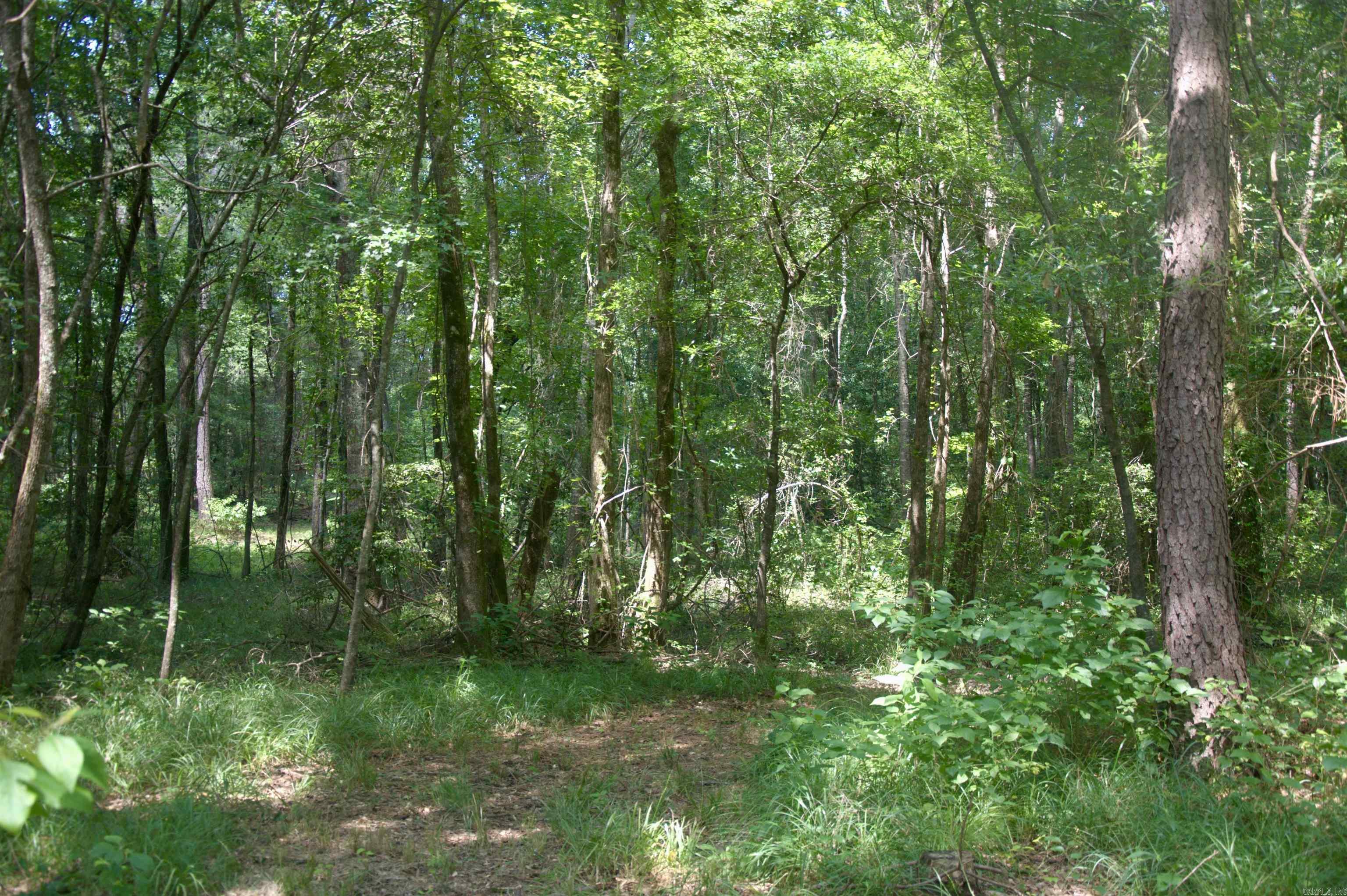 6300 US Highway 278