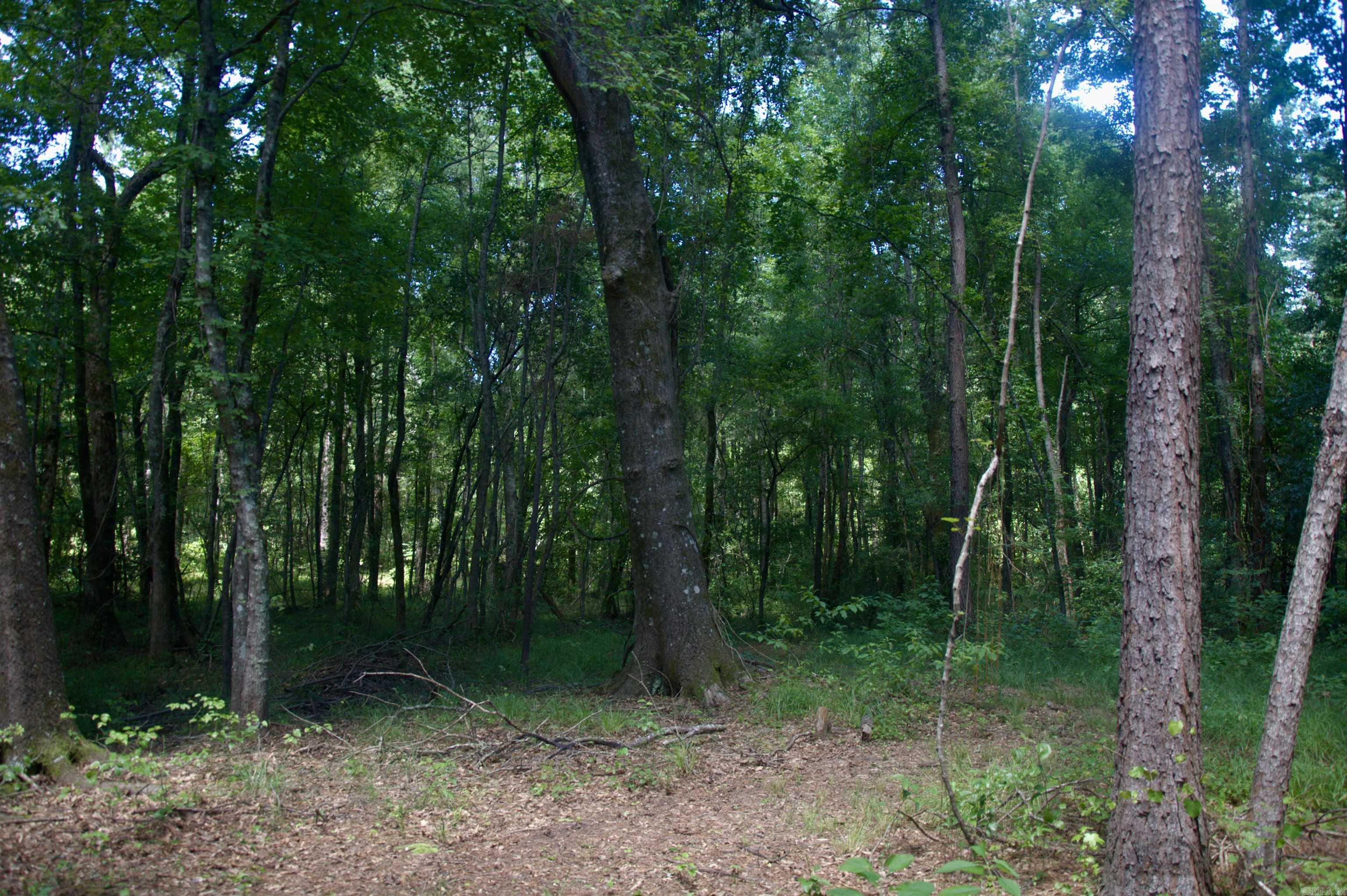 6300 US Highway 278
