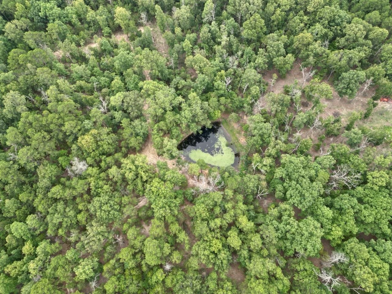 350 Old Cabin Road