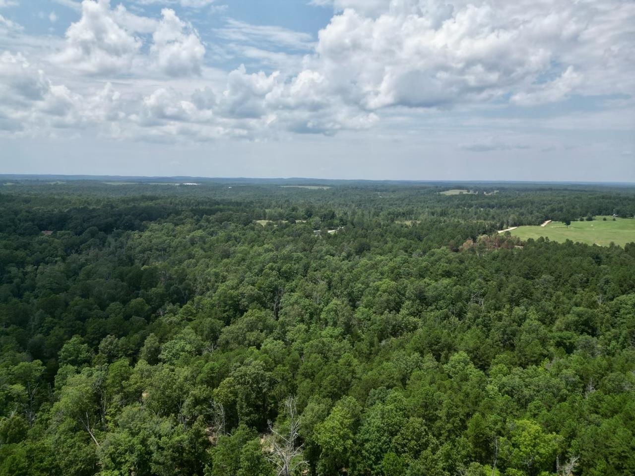 350 Old Cabin Road