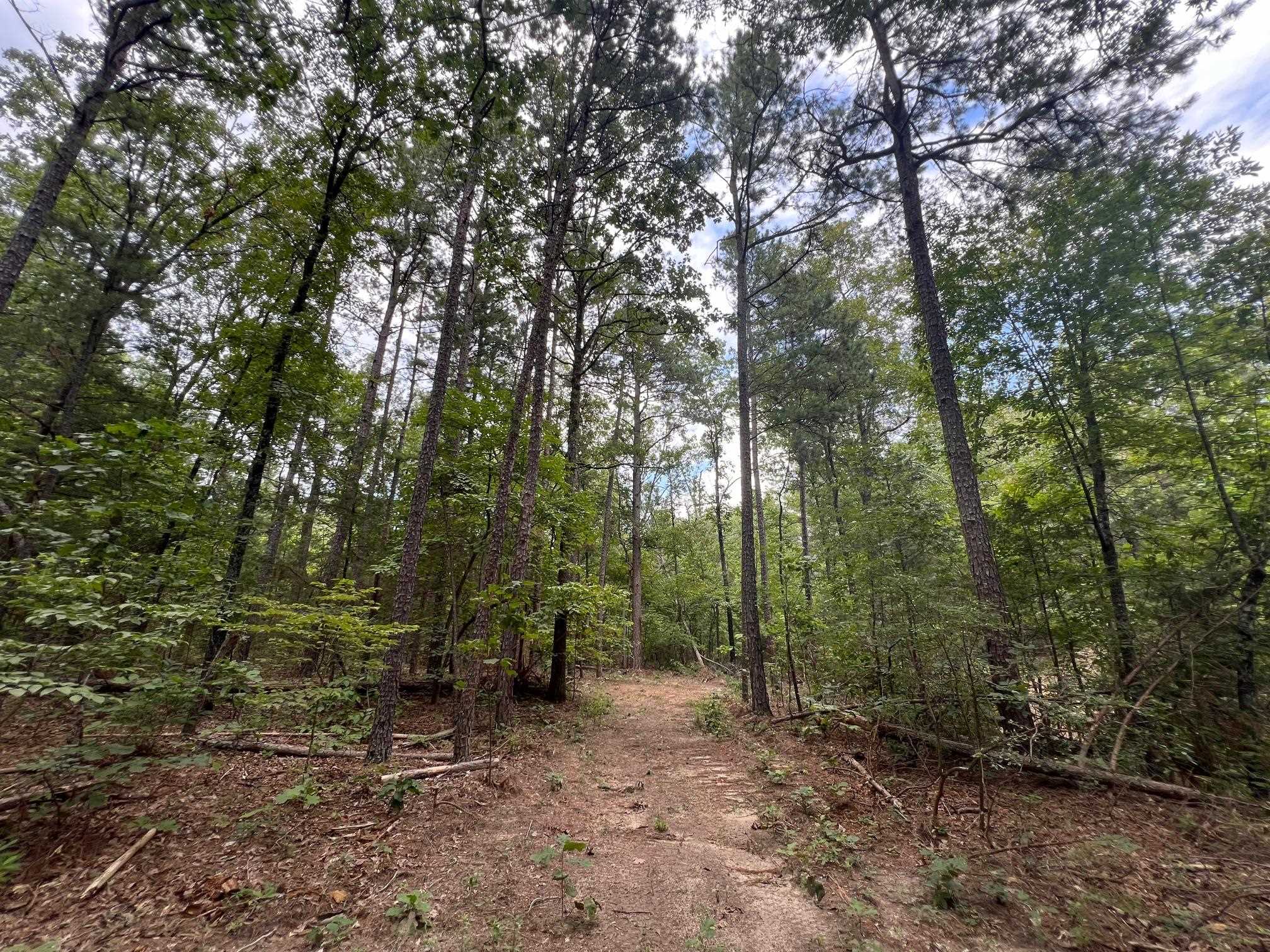 350 Old Cabin Road