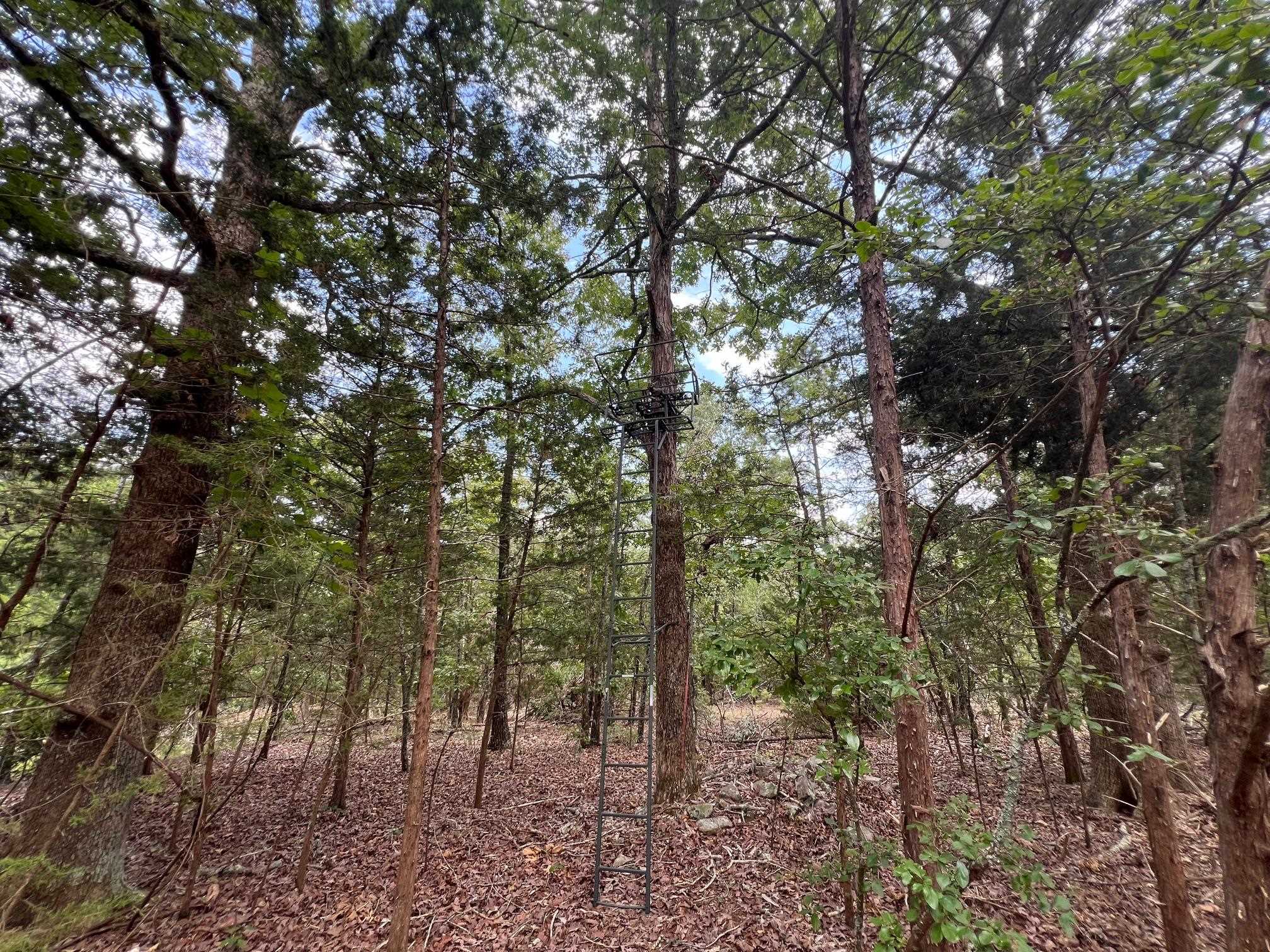 350 Old Cabin Road