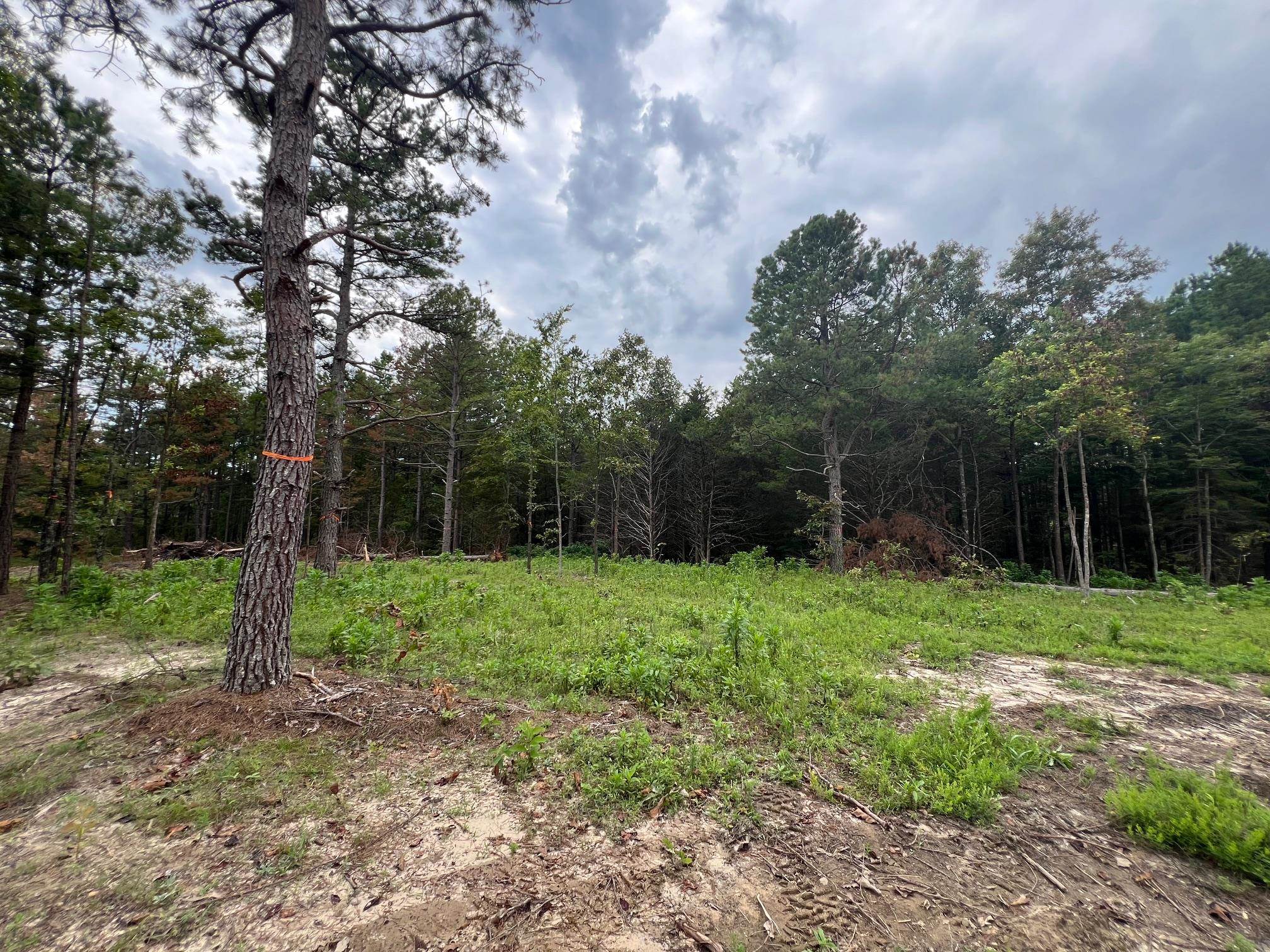 350 Old Cabin Road
