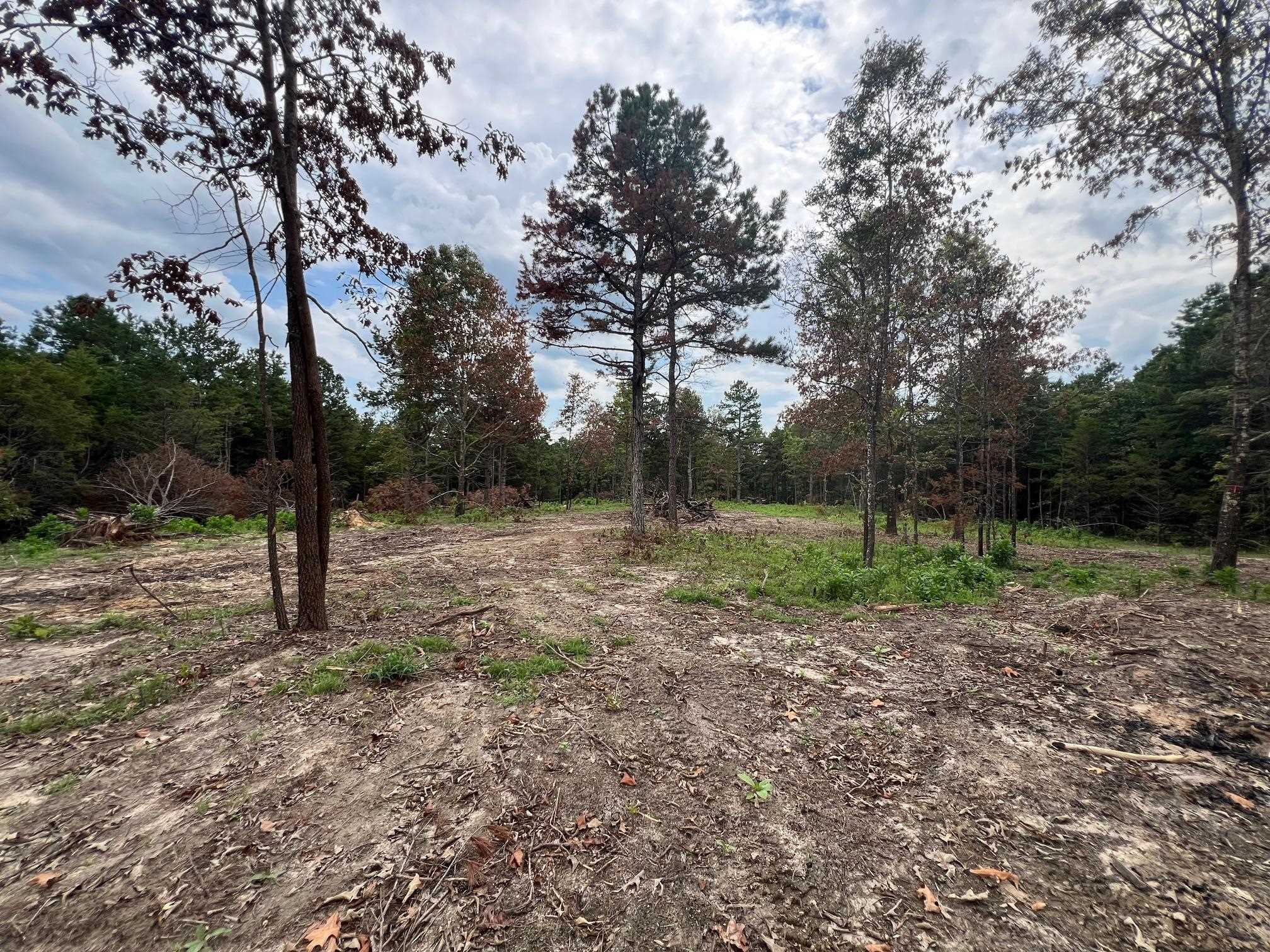 350 Old Cabin Road