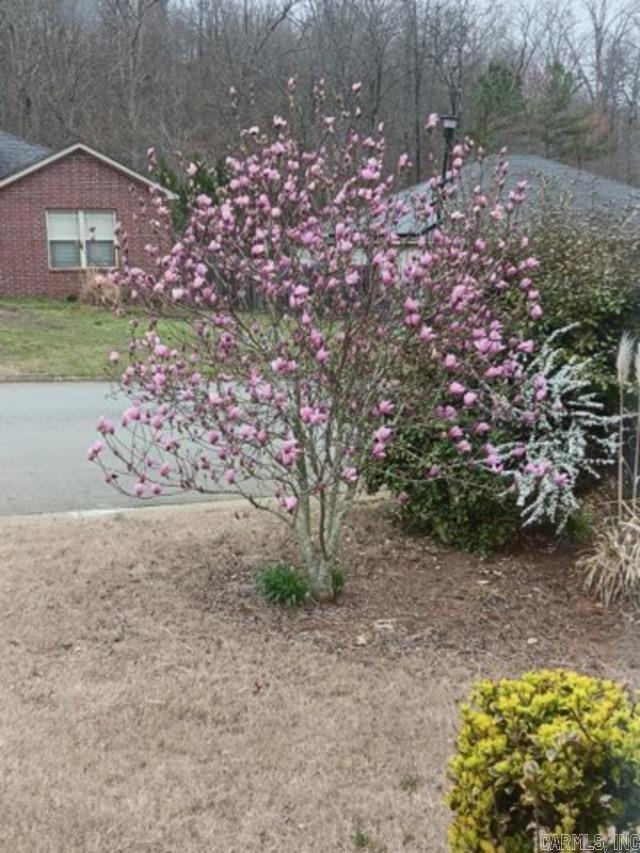 9112 Pleasant Valley Drive