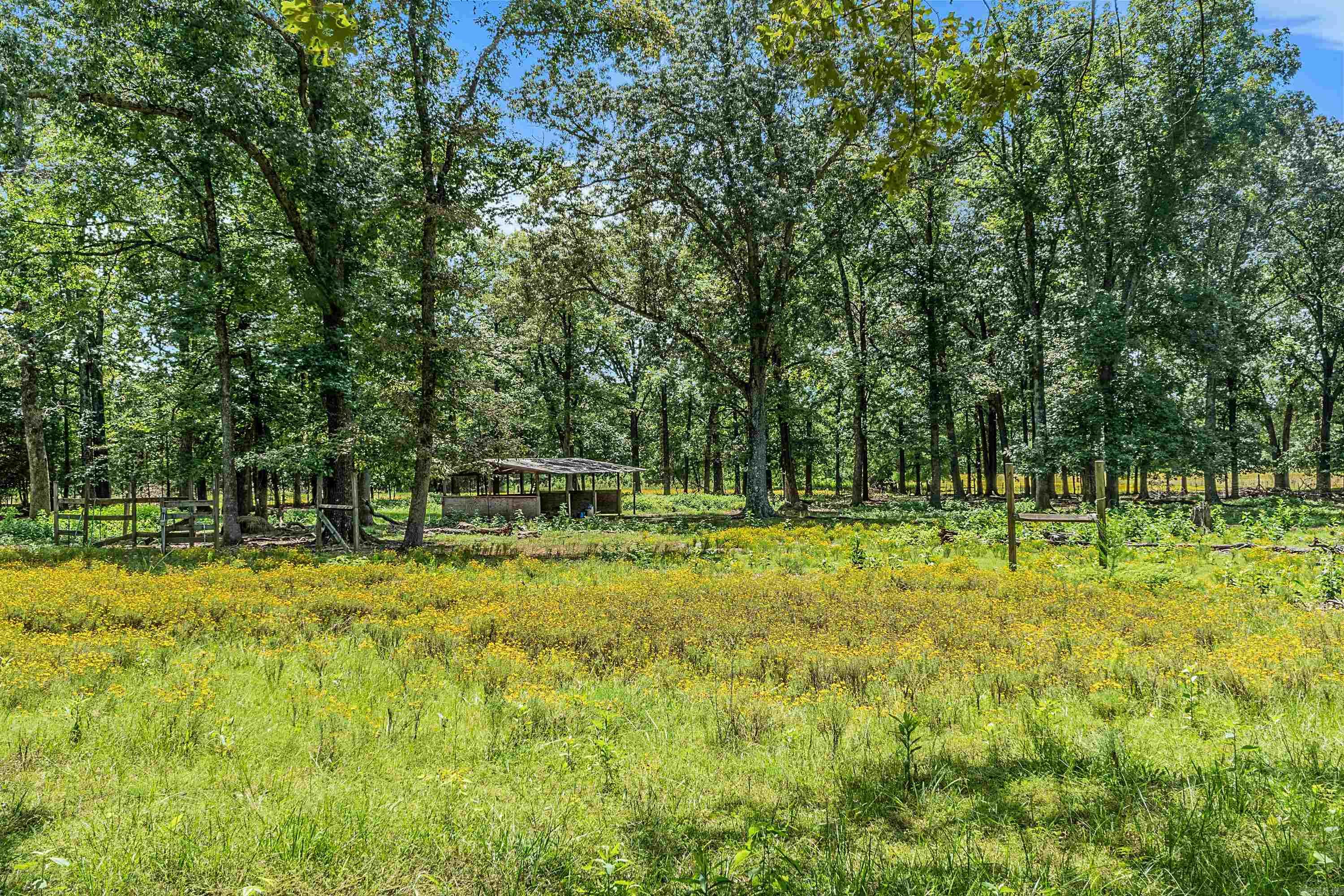 7501 Old Tom Box Road