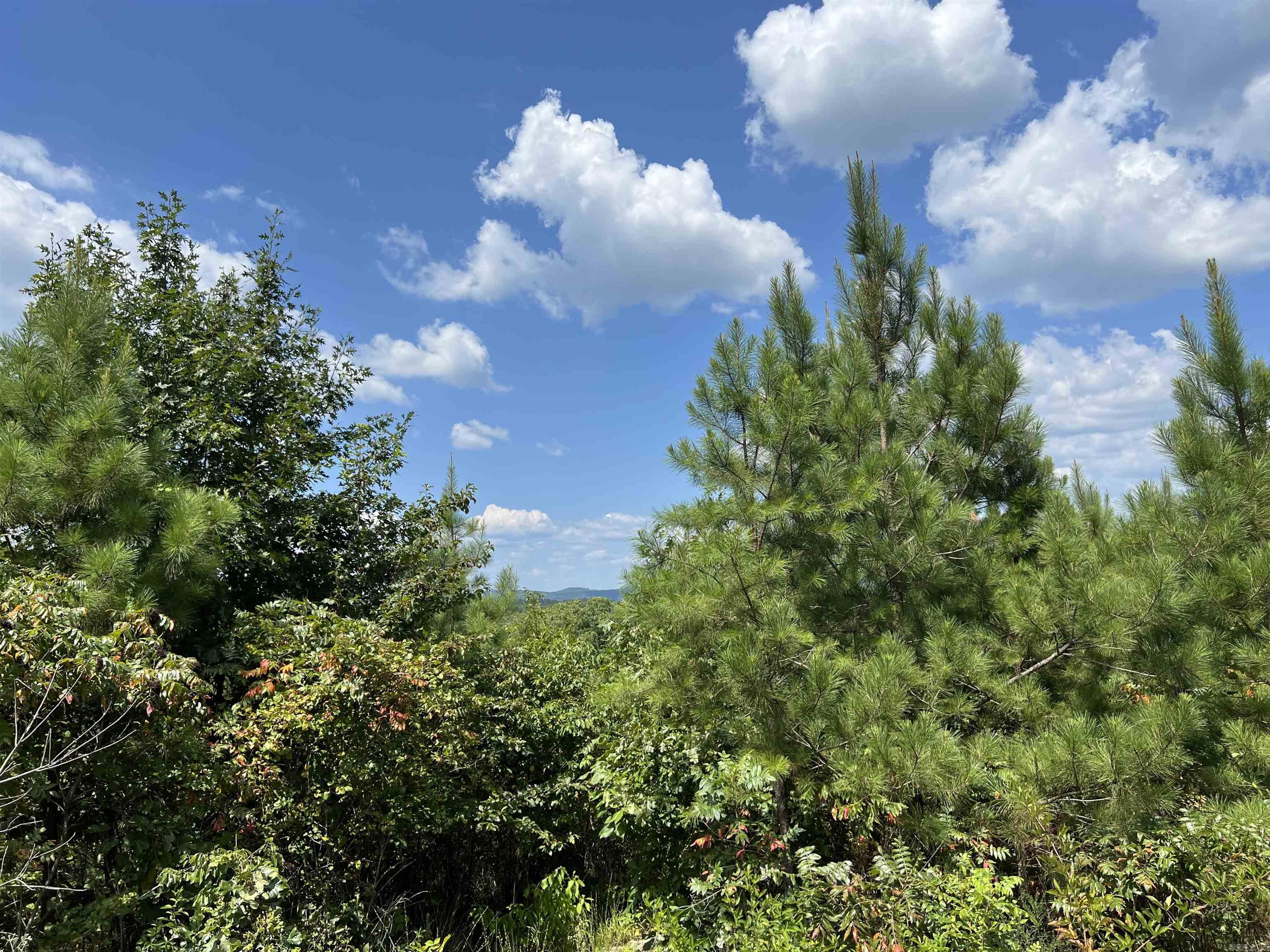 TBD Old Bonnerdale Road