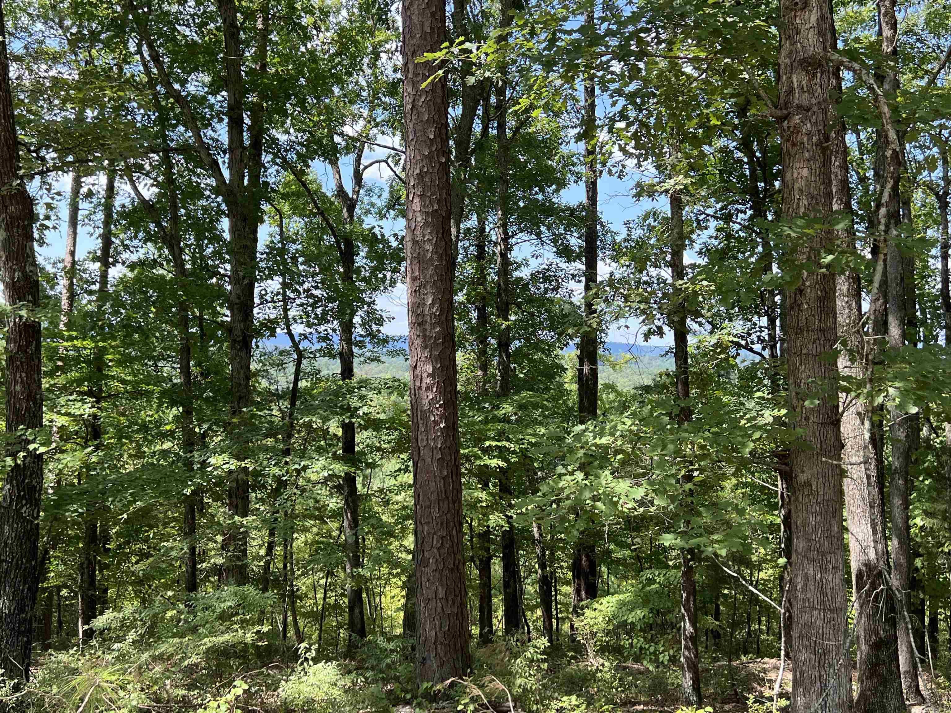 TBD Old Bonnerdale Road