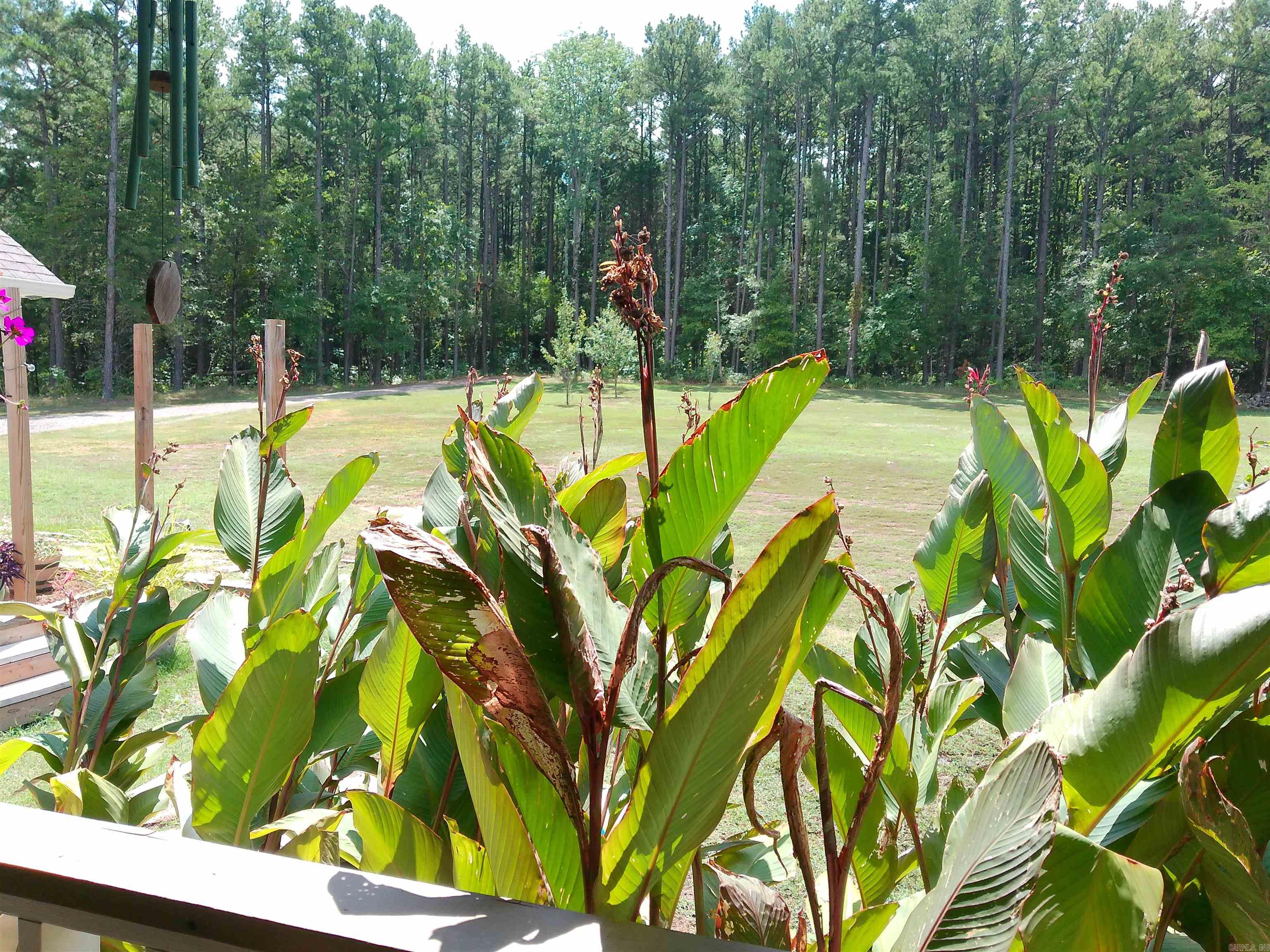 6310 Buck Mountain Road