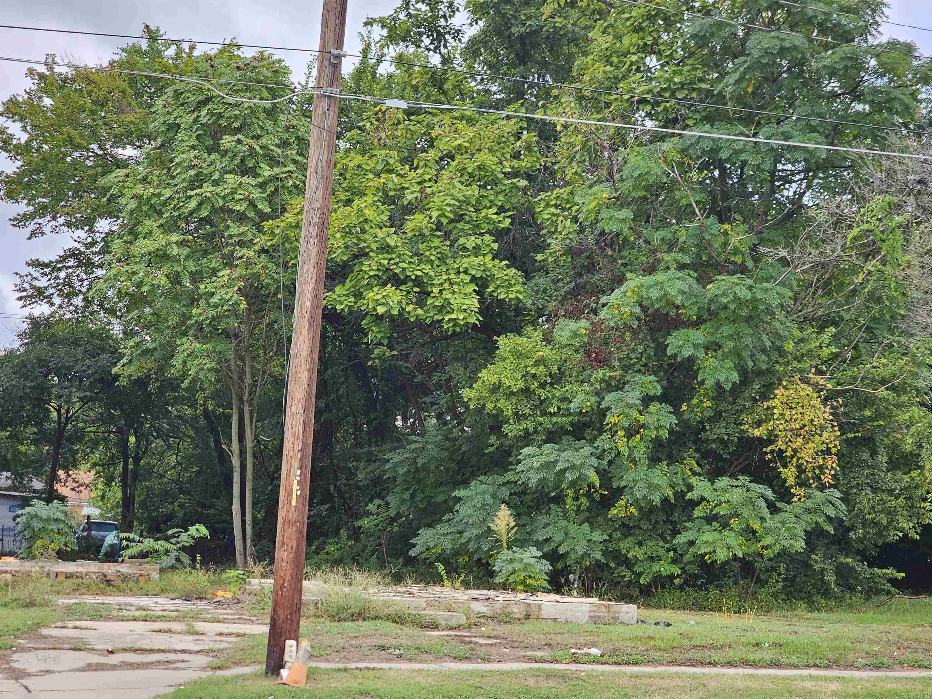 1817 & 1819 E Washington Avenue