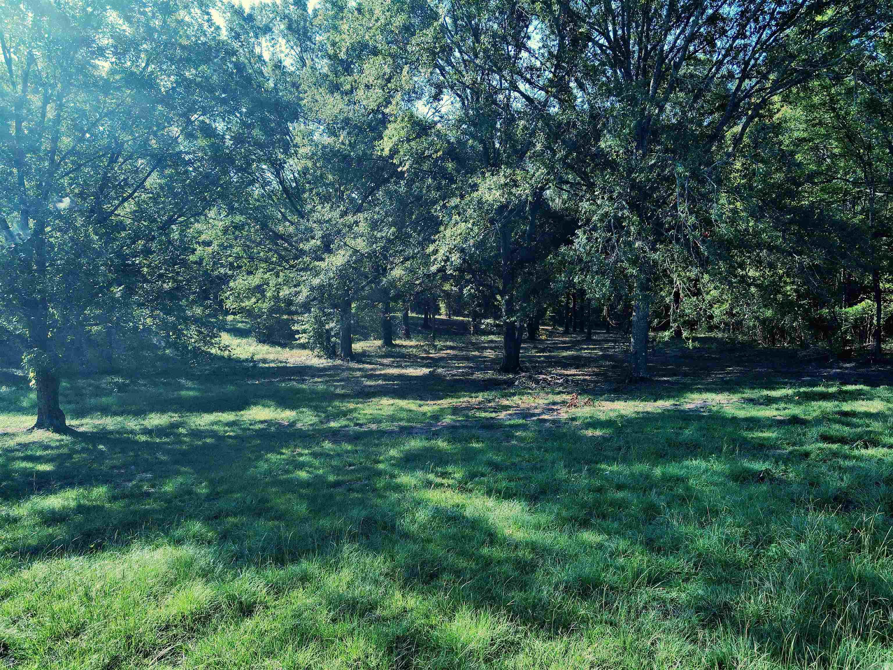 TBD Scottish Trail