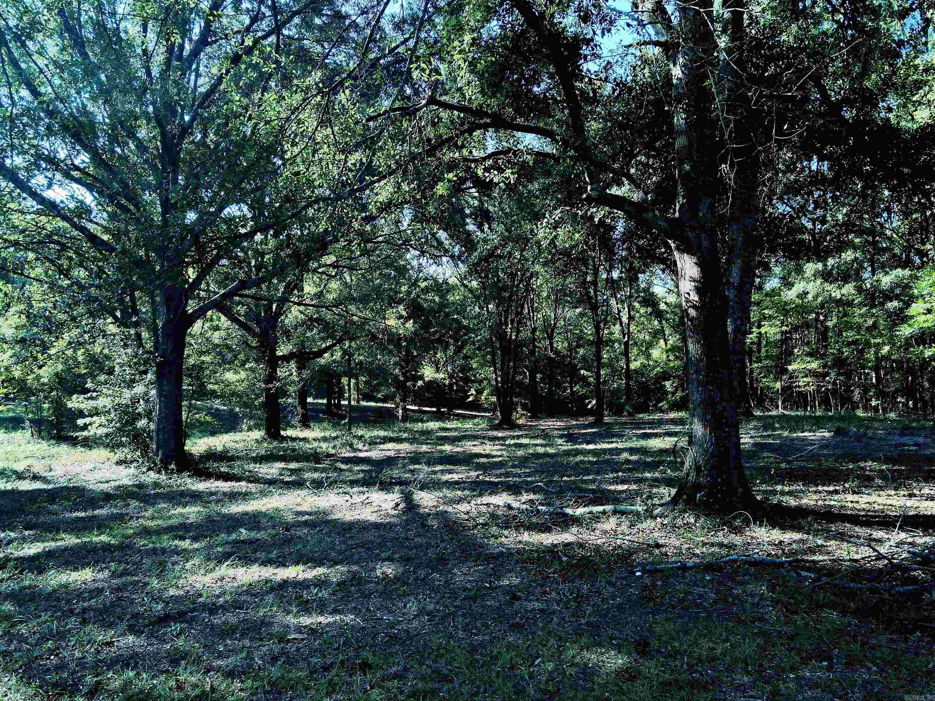TBD Scottish Trail