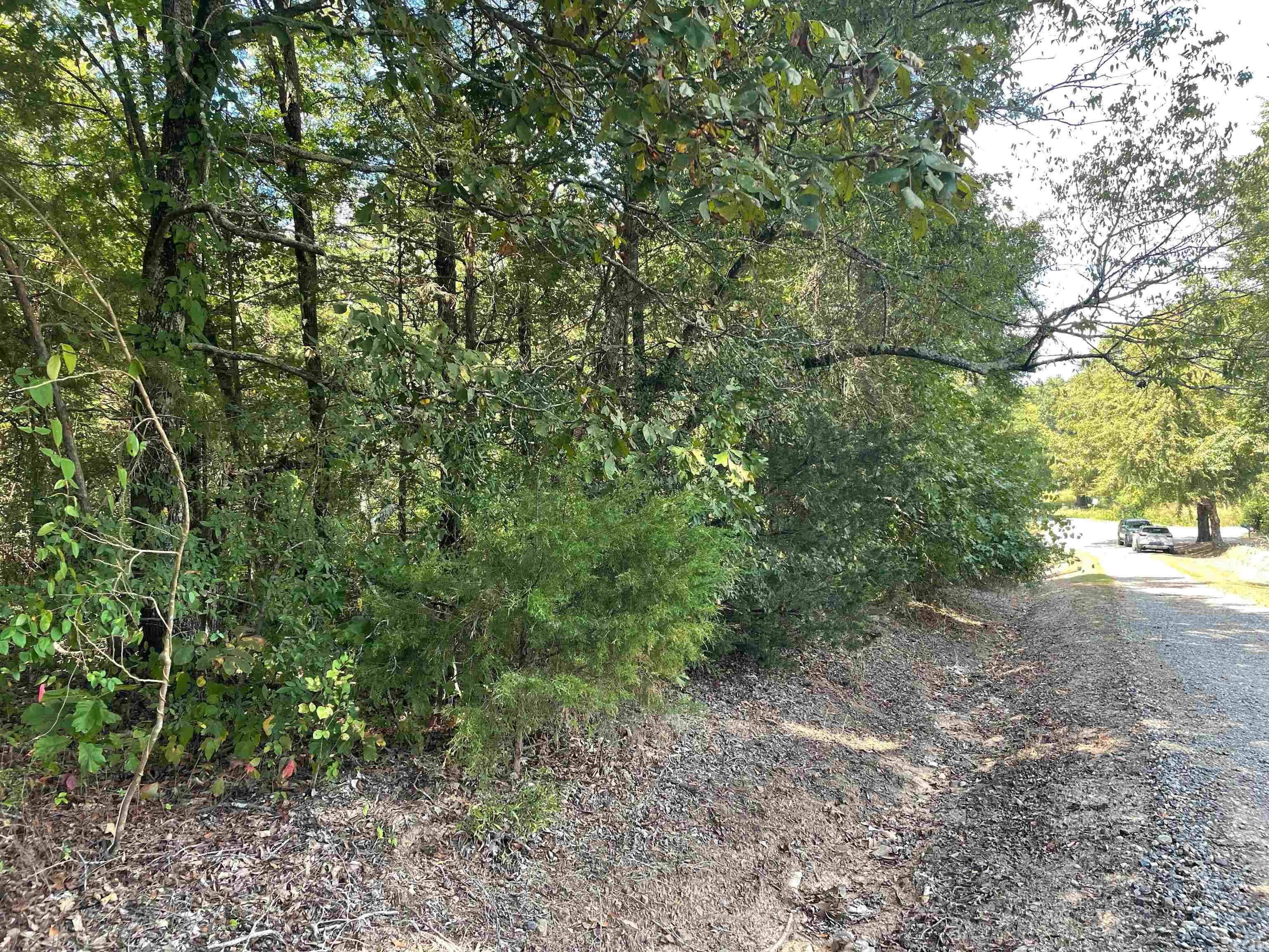 12121 Tates Mill Road