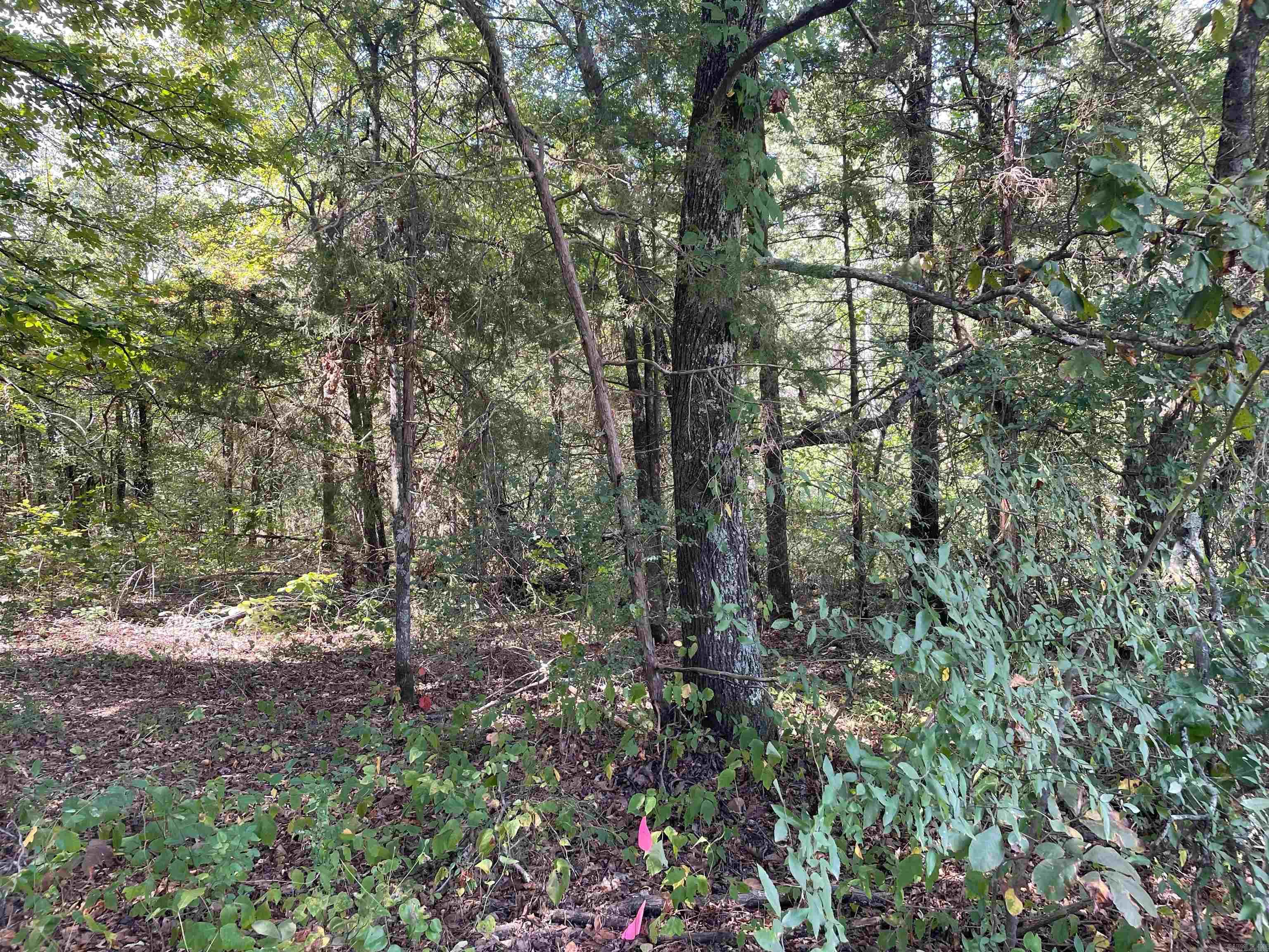 12121 Tates Mill Road