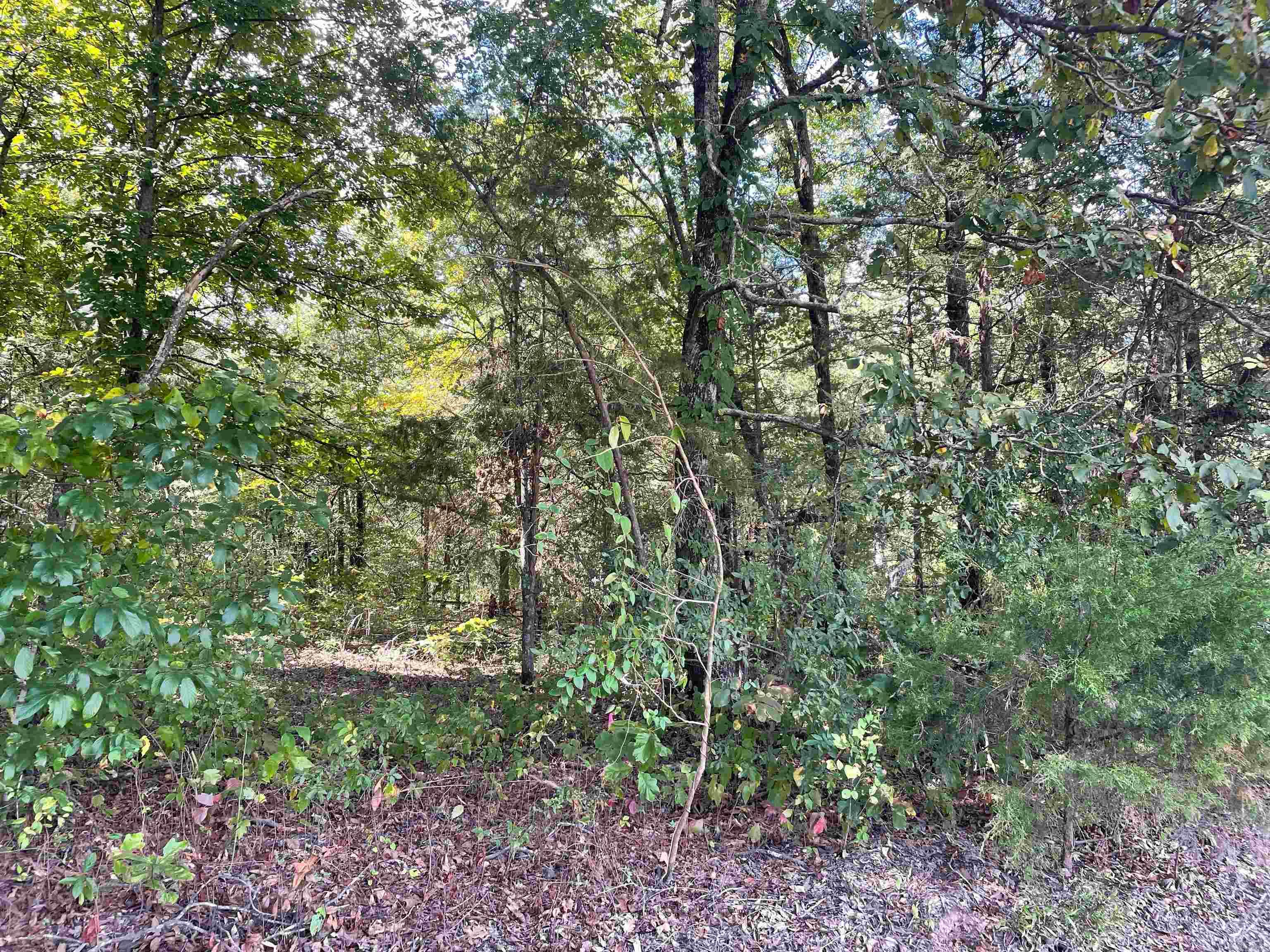 12121 Tates Mill Road