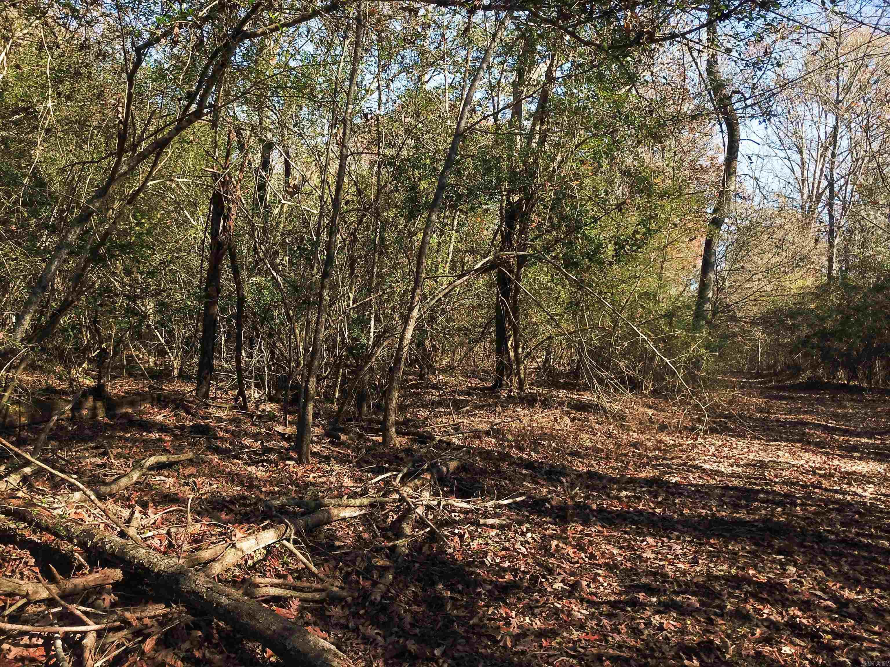 White Oak Slough Road