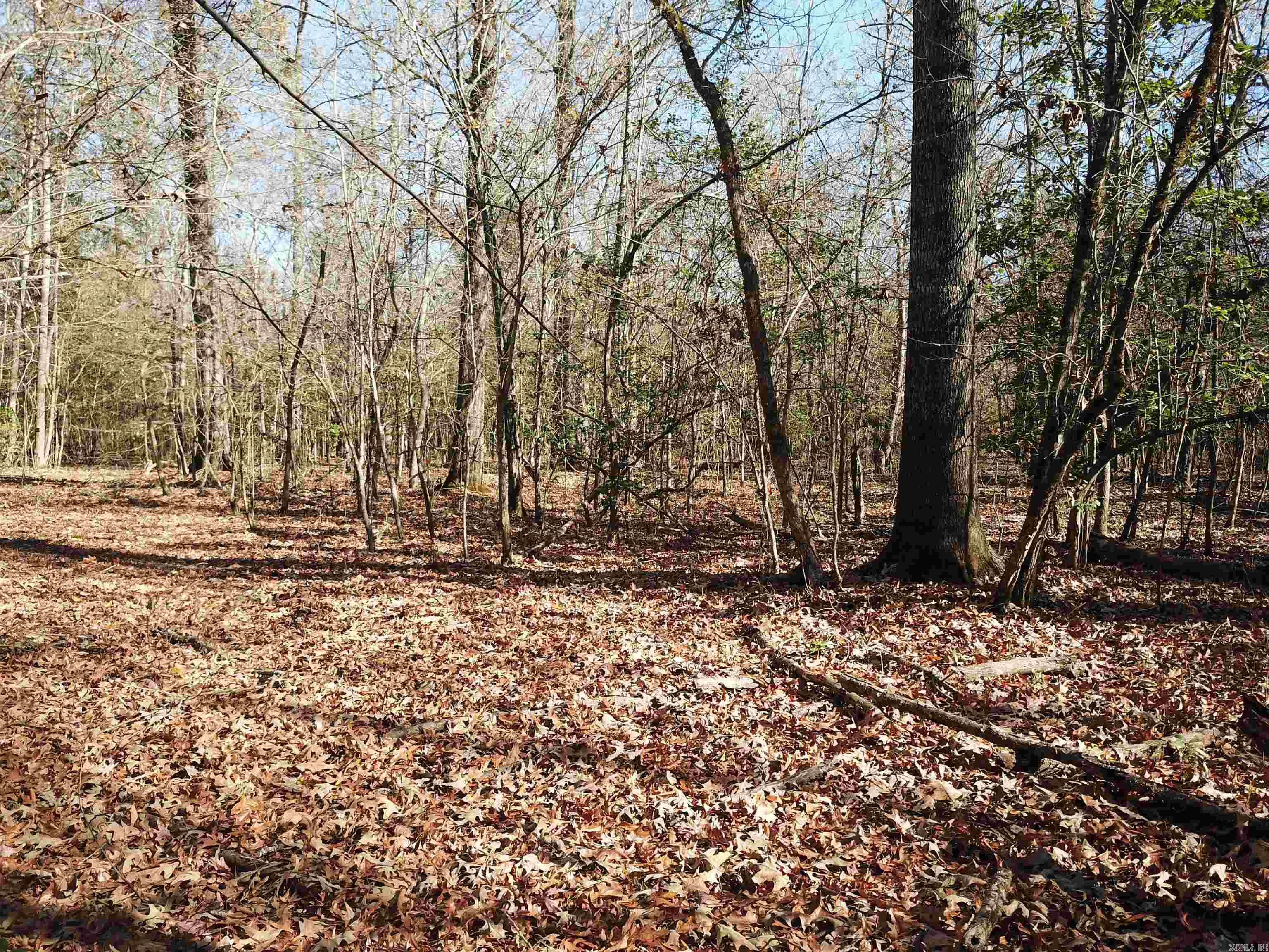 White Oak Slough Road